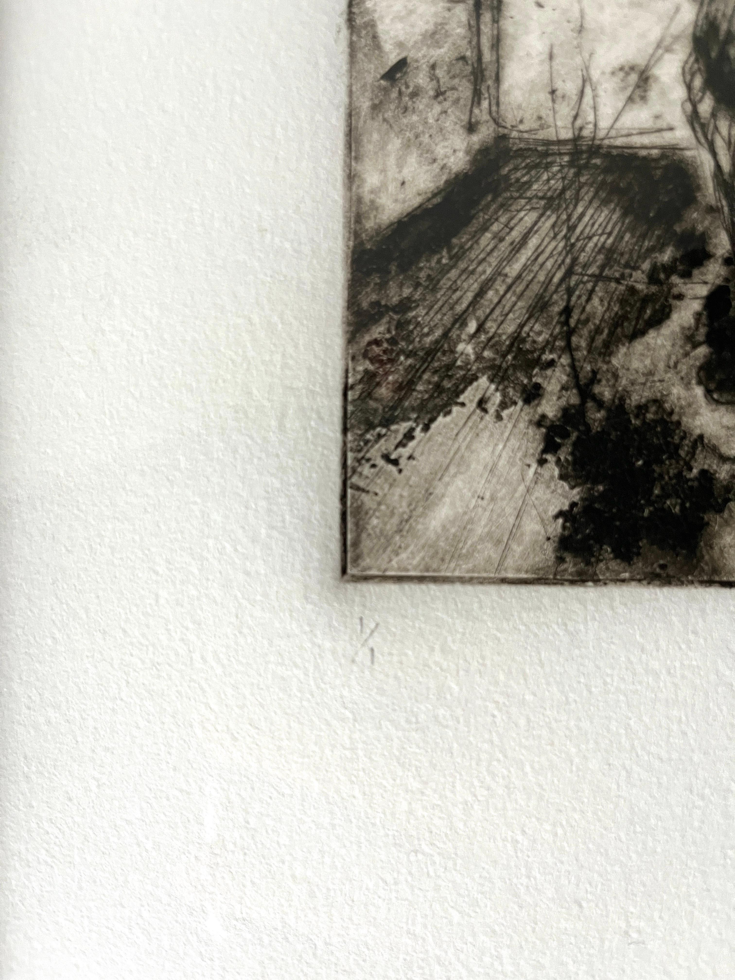 Fine XX secolo Acquaforte figurativa su carta di Aaron Brooks, Monoprint originale incorniciato in vendita