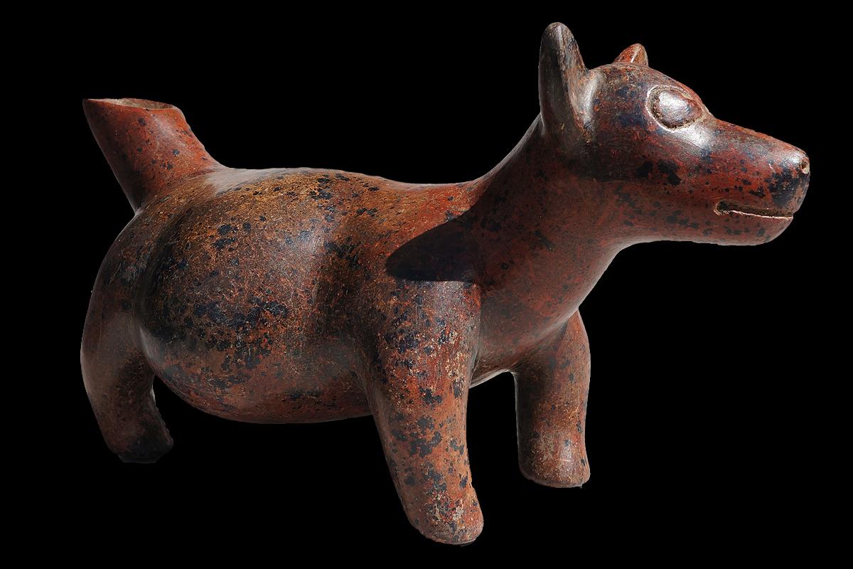 The dog comes with an international Certificate of Authenticity.

This outstandingly preserved figure of a puppy dog belongs to one of the most asked groups of objects world-wide. The success of so called Colima dogs comes from their usually cute