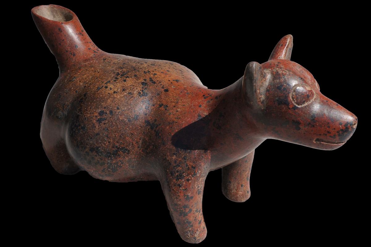 Pre-Columbian Figure of a Dog, Colima For Sale