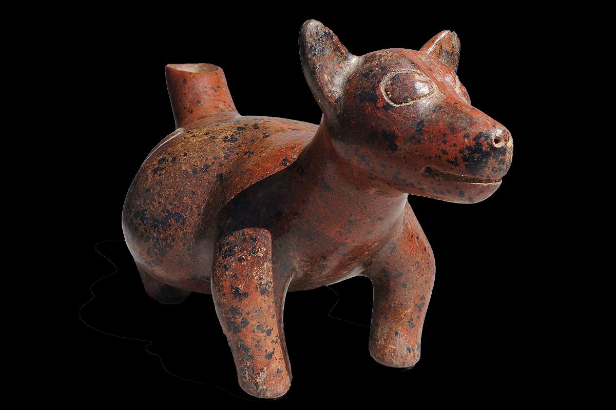 Figure of a Dog, Colima For Sale 1