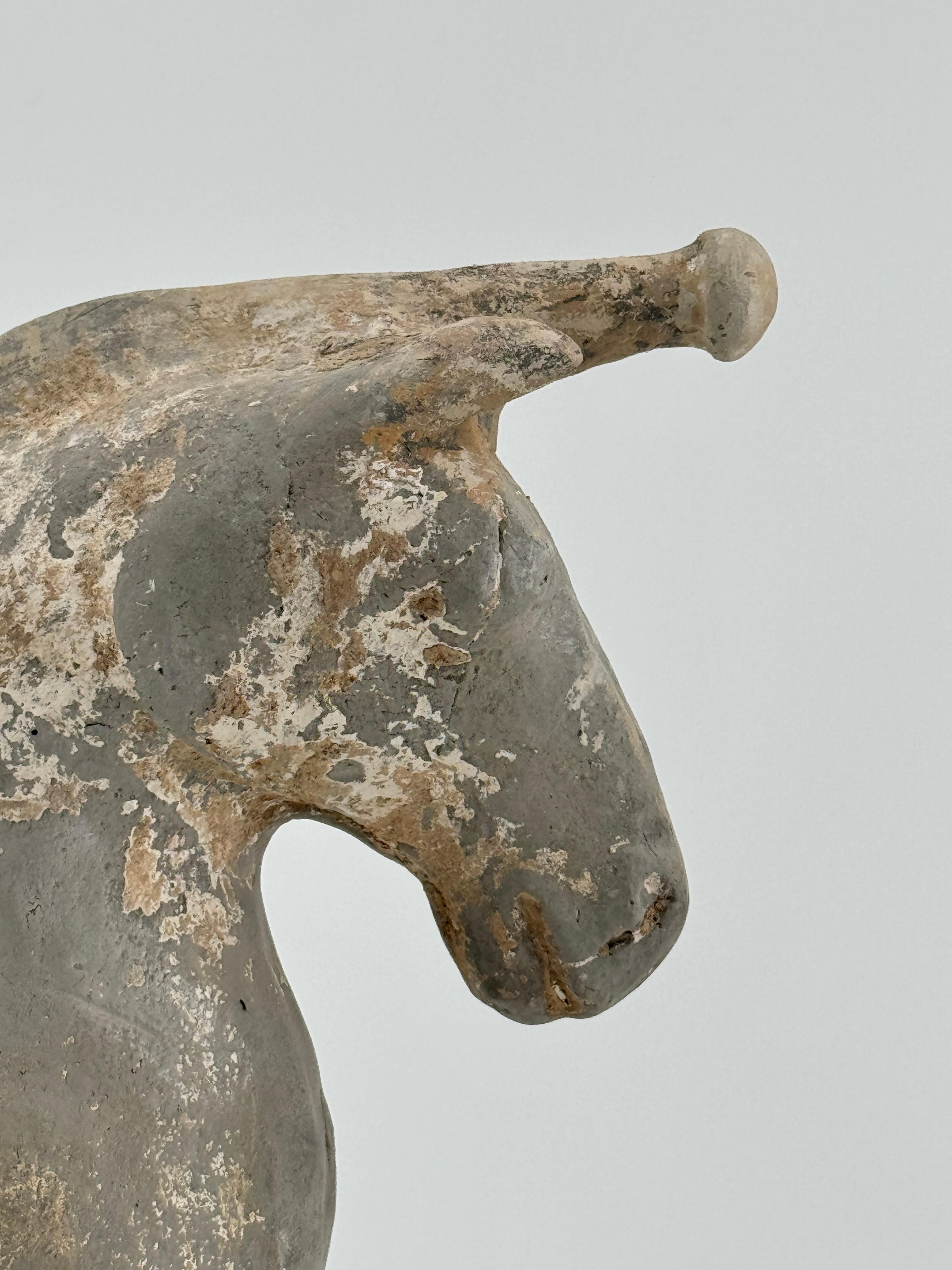 Figure of a Horse with traces of white slip, Western Jin-Han Dynasty In Good Condition For Sale In seoul, KR
