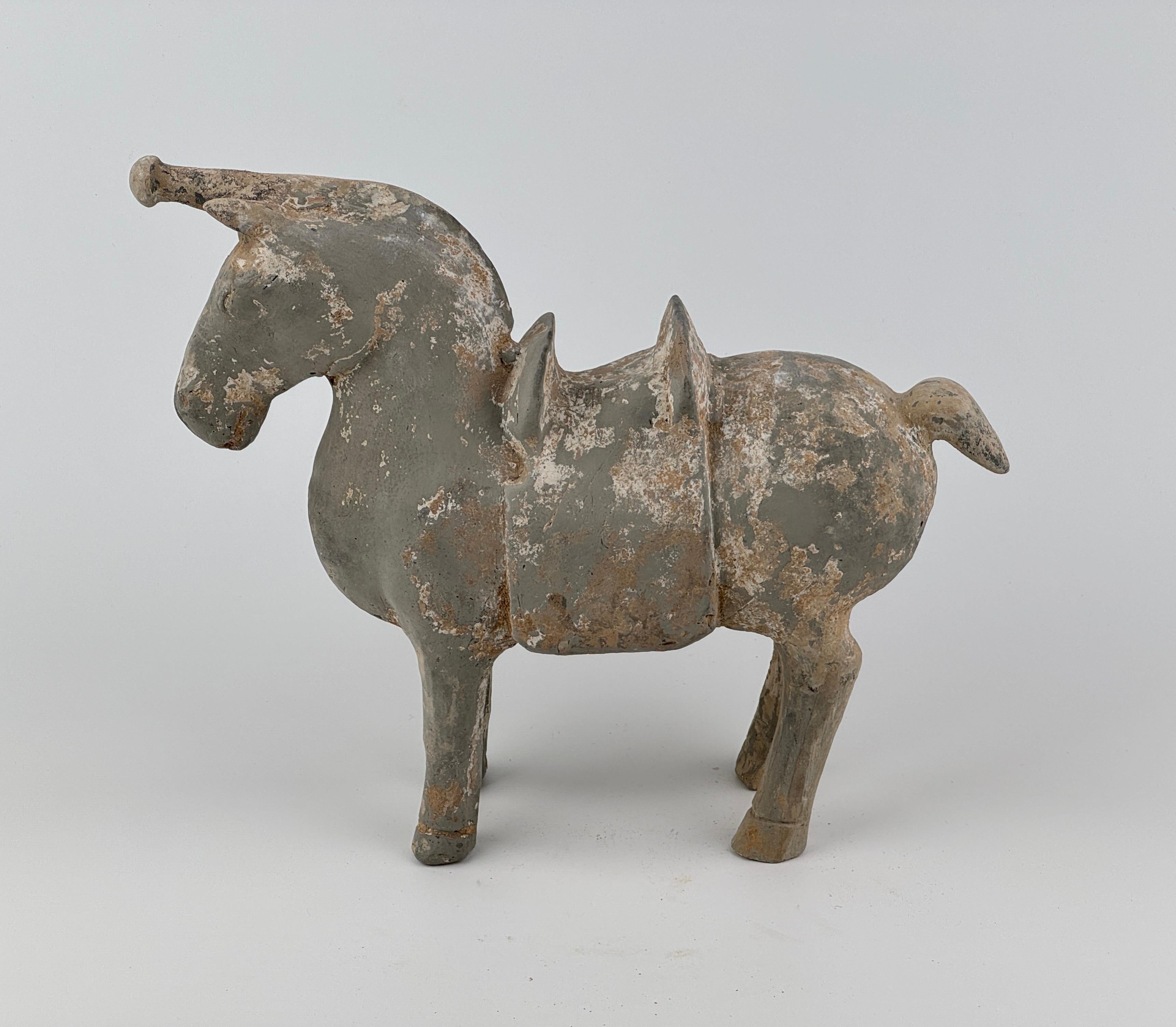 Figure of a Horse with traces of white slip, Western Jin-Han Dynasty For Sale 2