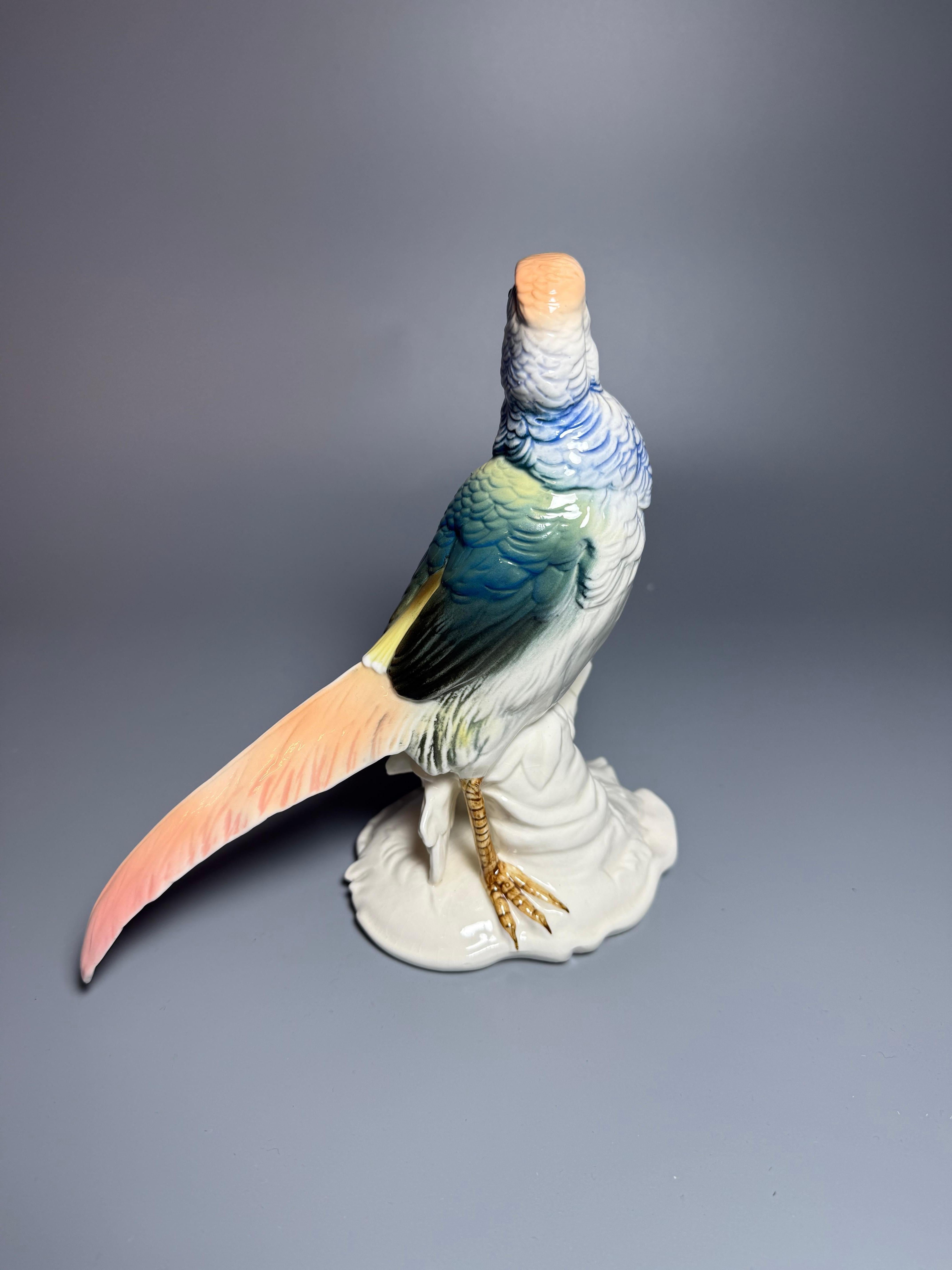 Figure Porcelain Bird Pheasant Karl Ens Germany For Sale 1