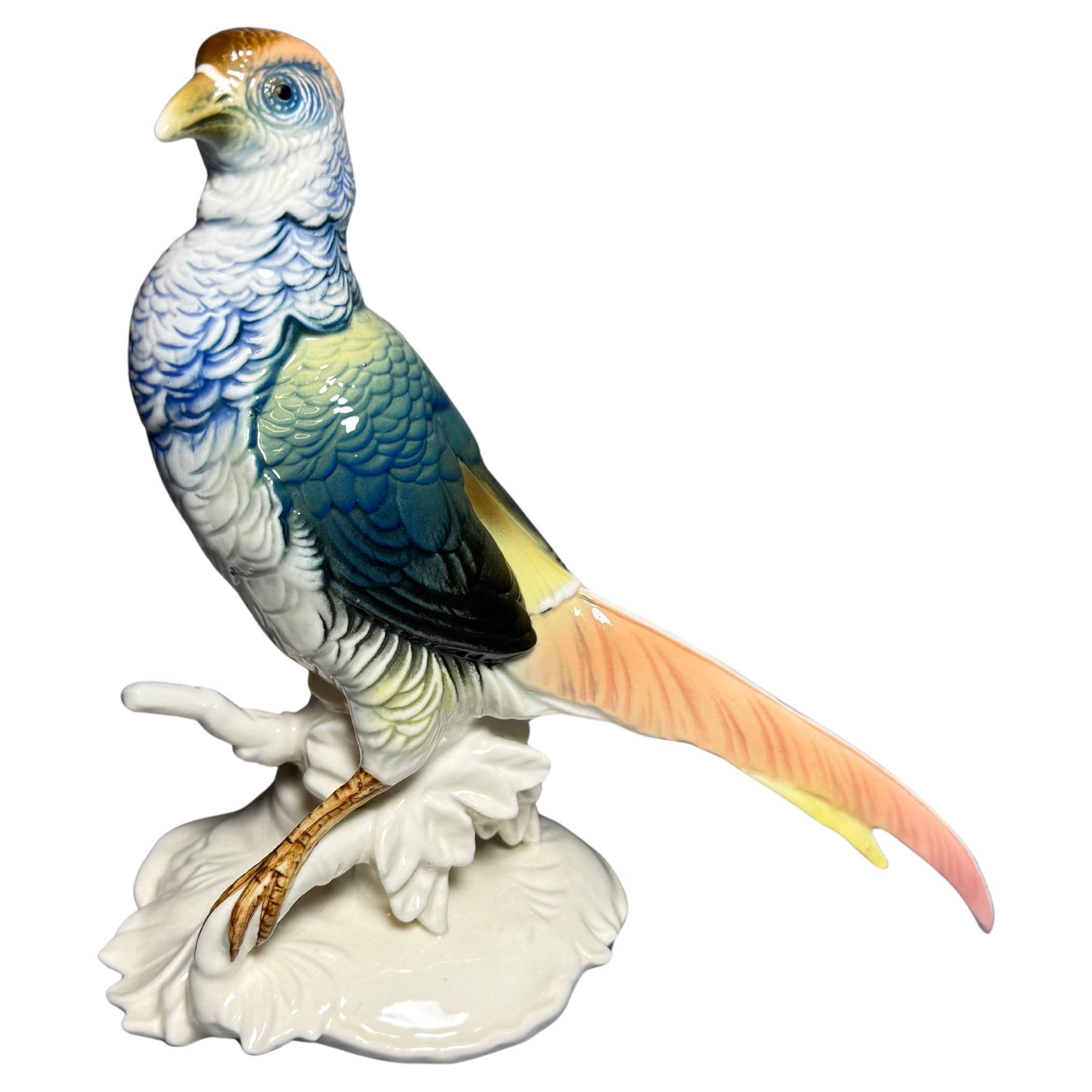 Figure Porcelain Bird Pheasant Karl Ens Germany For Sale