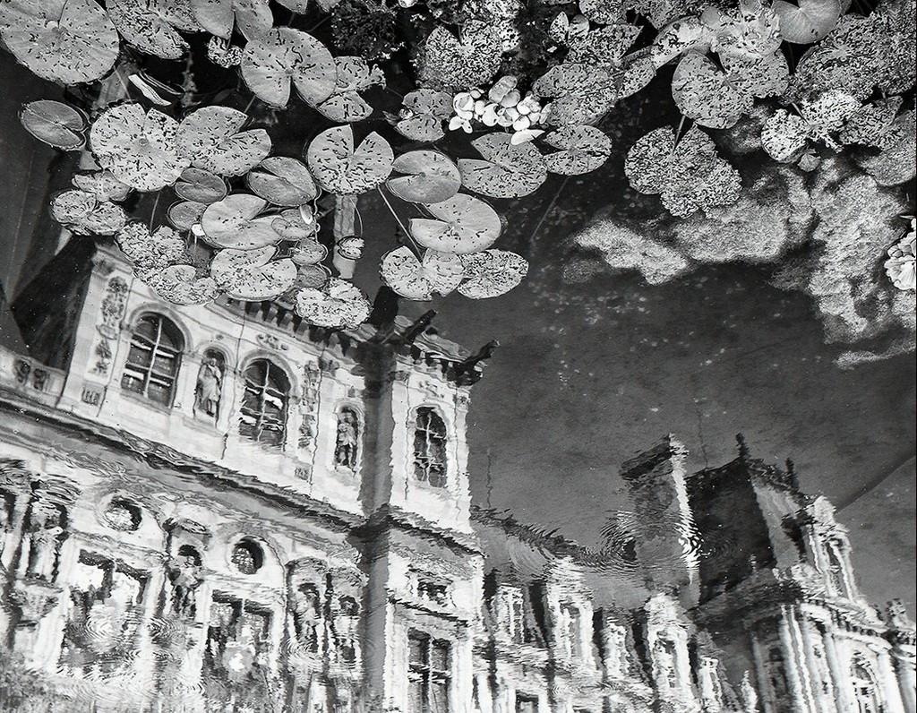 Fikry Botros Landscape Photograph - Lilies in the Sky - Black & white lily pad landscape reflection in water