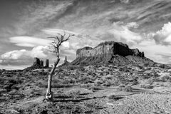 Monument Valley, Photograph, Archival Ink Jet