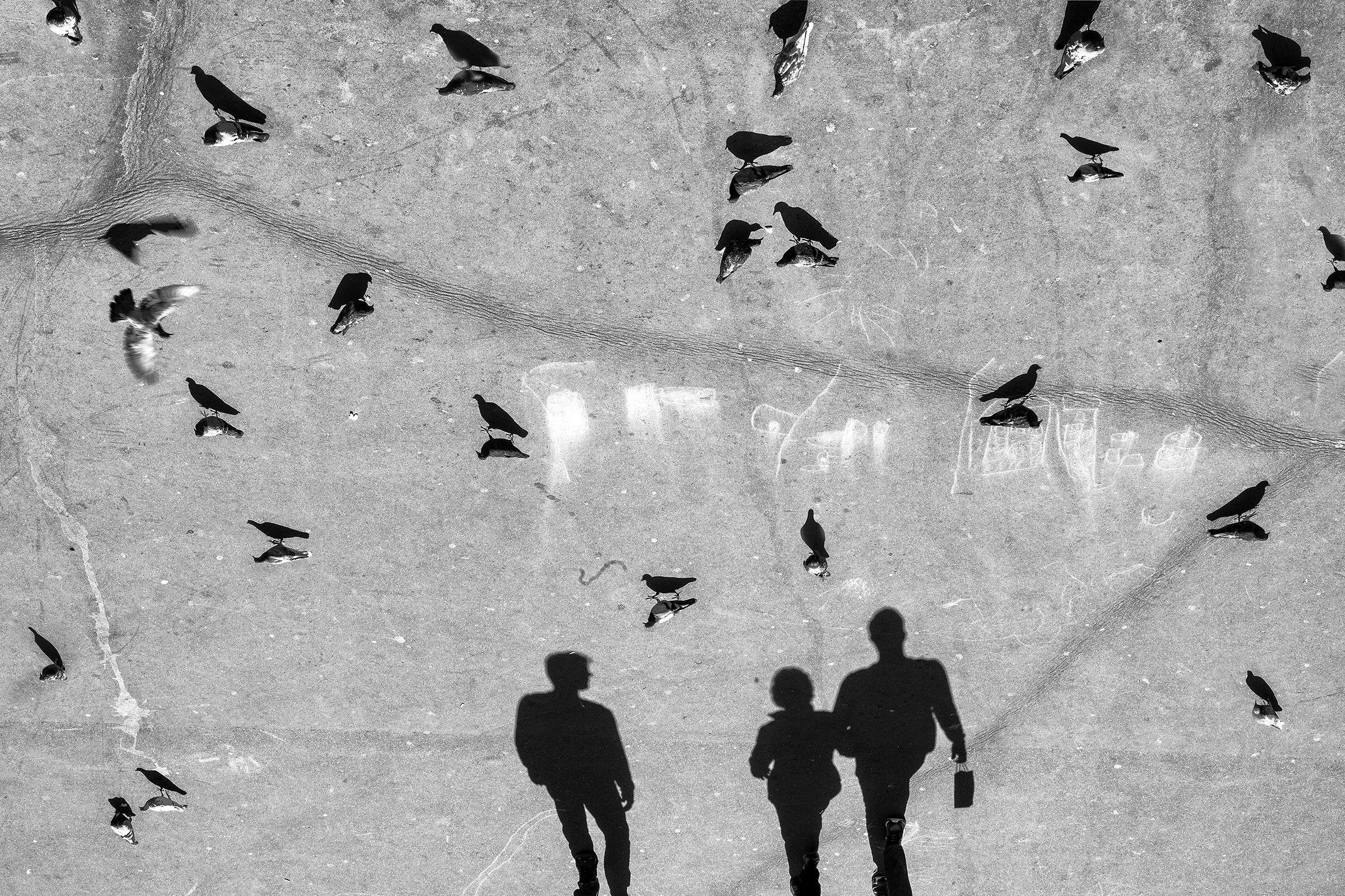 Parallel Universe, Photograph, Archival Ink Jet