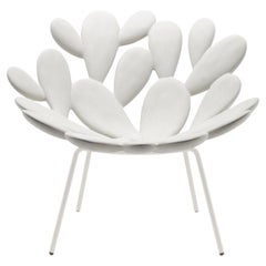 Filicudi Armchair Colored in White Polyethylene & Steel by Marcantonio