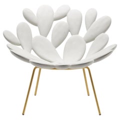 Filicudi Armchair in White/Brass Recyclable Polyethylene by Marcantonio