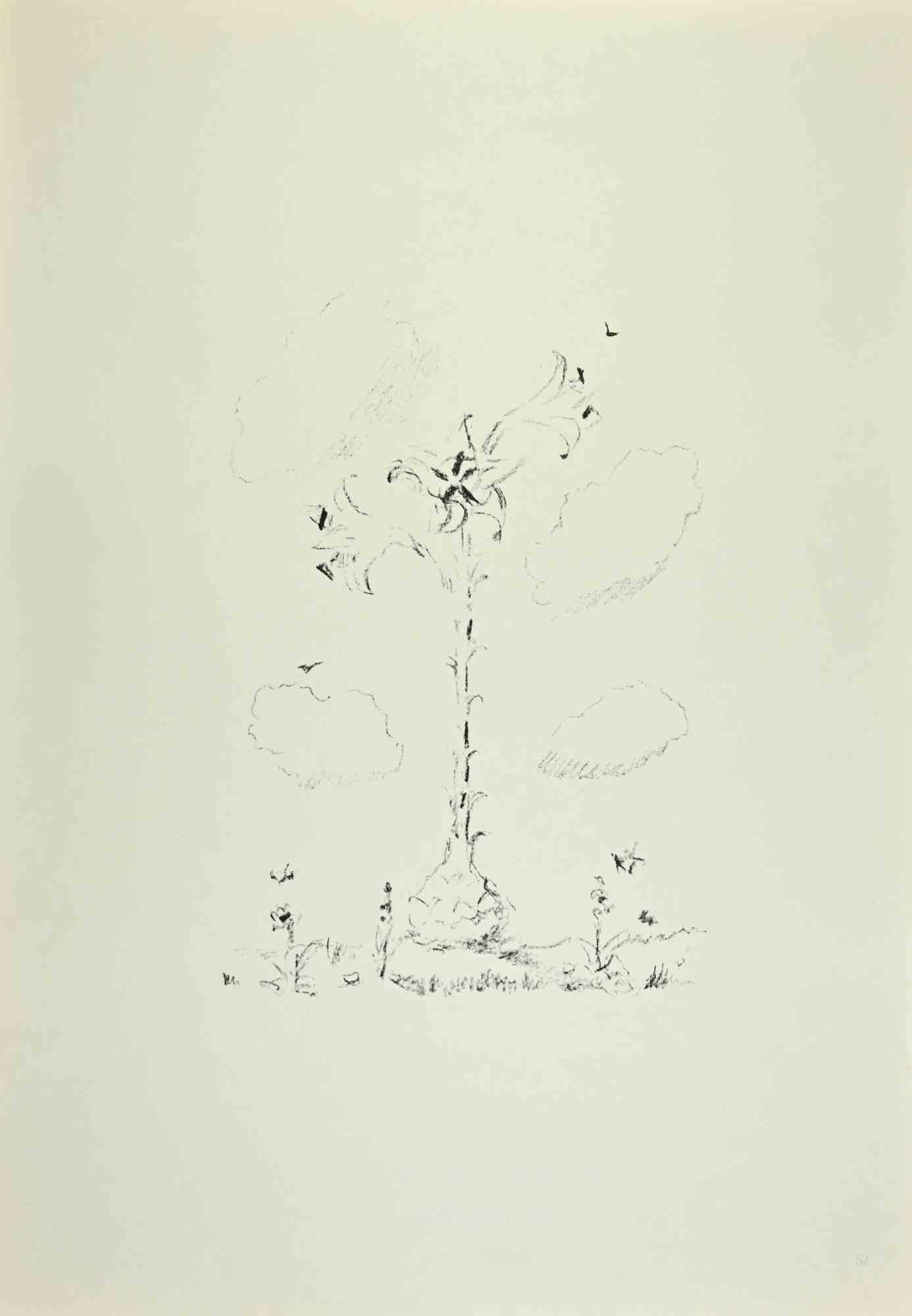 Lirio es una obra de arte realizada por Filippo De Pisis (1896, Ferrara - 1956, Milán) en 1968.

Litografía en blanco y negro.

Buen estado.

No firmado.

Publicado en el volumen "De Pisis Lito, Edizioni del Galeone, 1969.