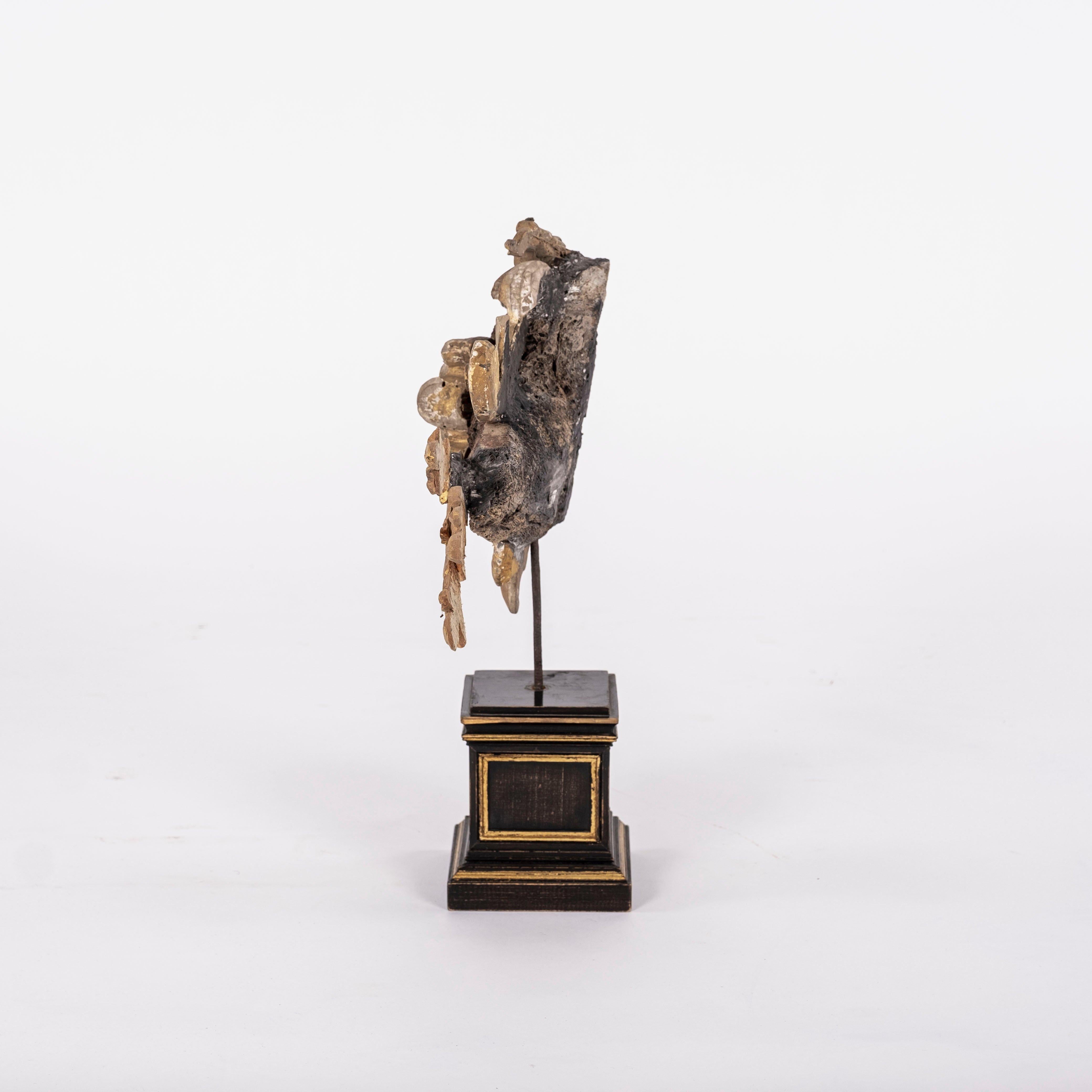 Filippo Gherardi Fisch-Skulptur auf schwarzem Sockel (21. Jahrhundert und zeitgenössisch) im Angebot