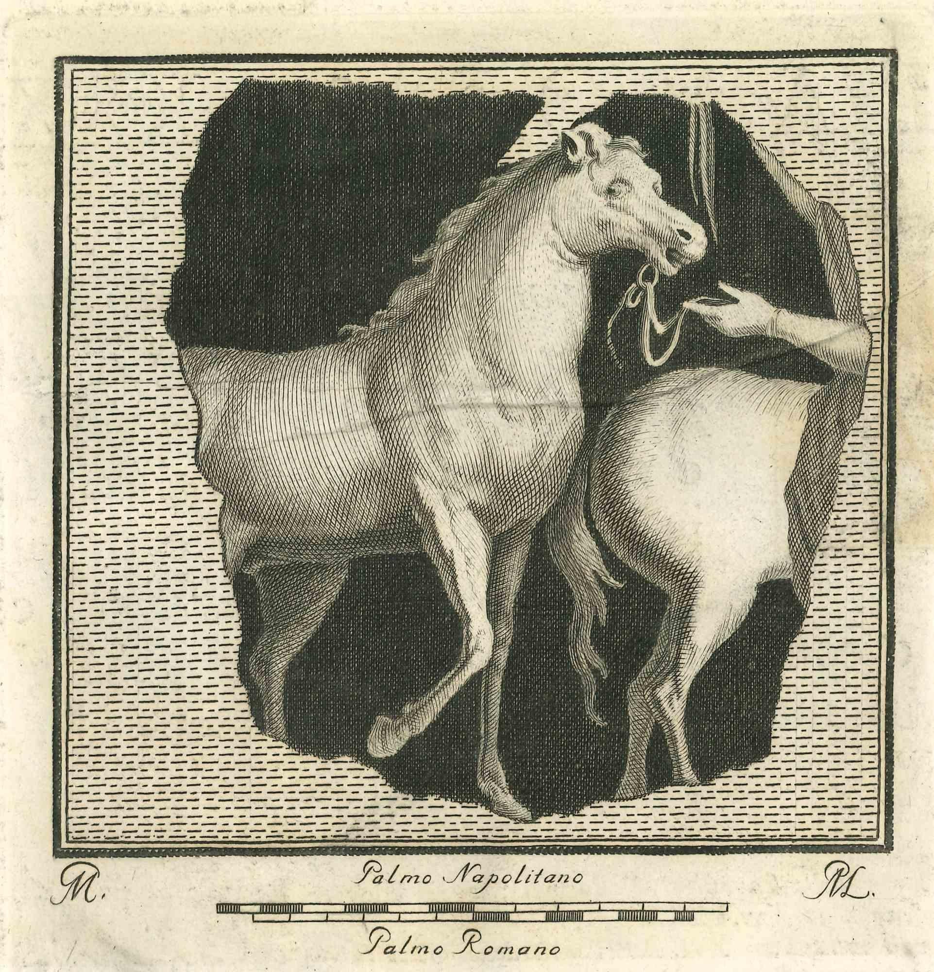 Fresque murale décorative des "Antiquités d'Herculanum" est une gravure sur papier réalisée par Filippo Morghen au XVIIIe siècle.

Signé sur la plaque.

Bonnes conditions.

La gravure appartient à la suite d'estampes "Antiquités d'Herculanum