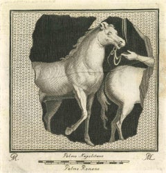 Fresco mural décoratif - gravure par Filippo Morghen - 18ème siècle