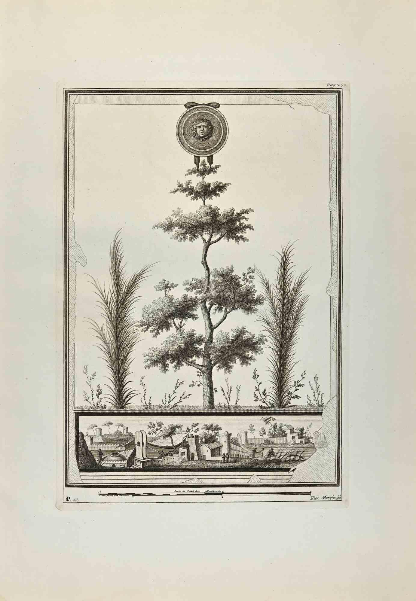 Medusa Head And Roman Garden aus "Antiquities of Herculaneum" ist eine Radierung auf Papier von Filippo Morghen aus dem 18. Jahrhundert.

Signiert auf der Platte.

Guter Zustand mit einigen Faltungen.

Die Radierung gehört zu der Druckserie
