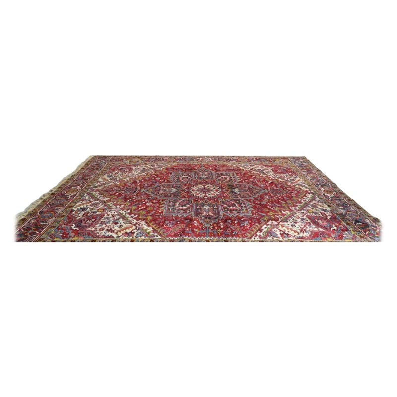 Filoplume Heriz Rug in Wool For Sale