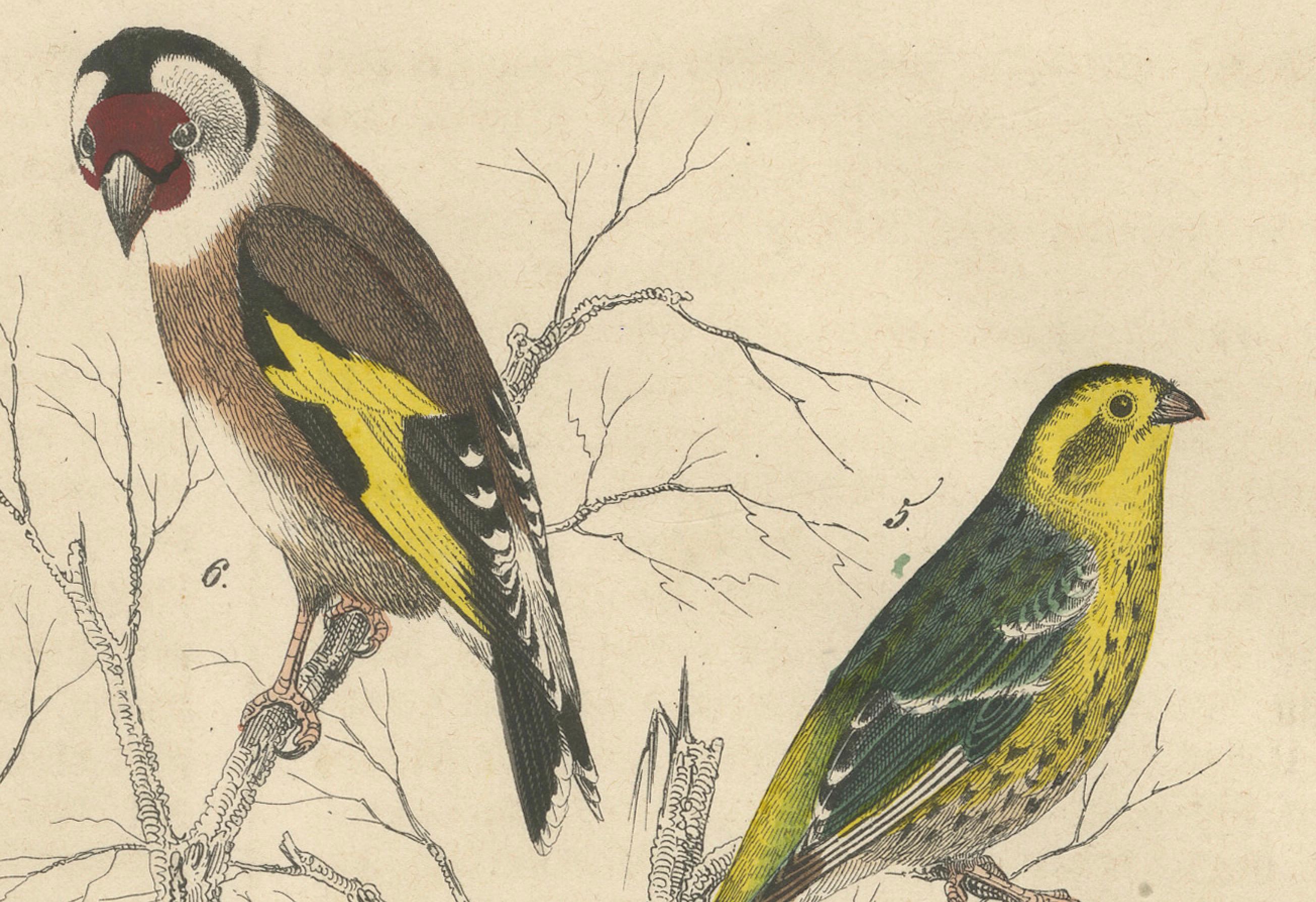 Papier Finches et moissons : une assemblée aérienne de 1849 - une lithographie collectionnée à la main en vente