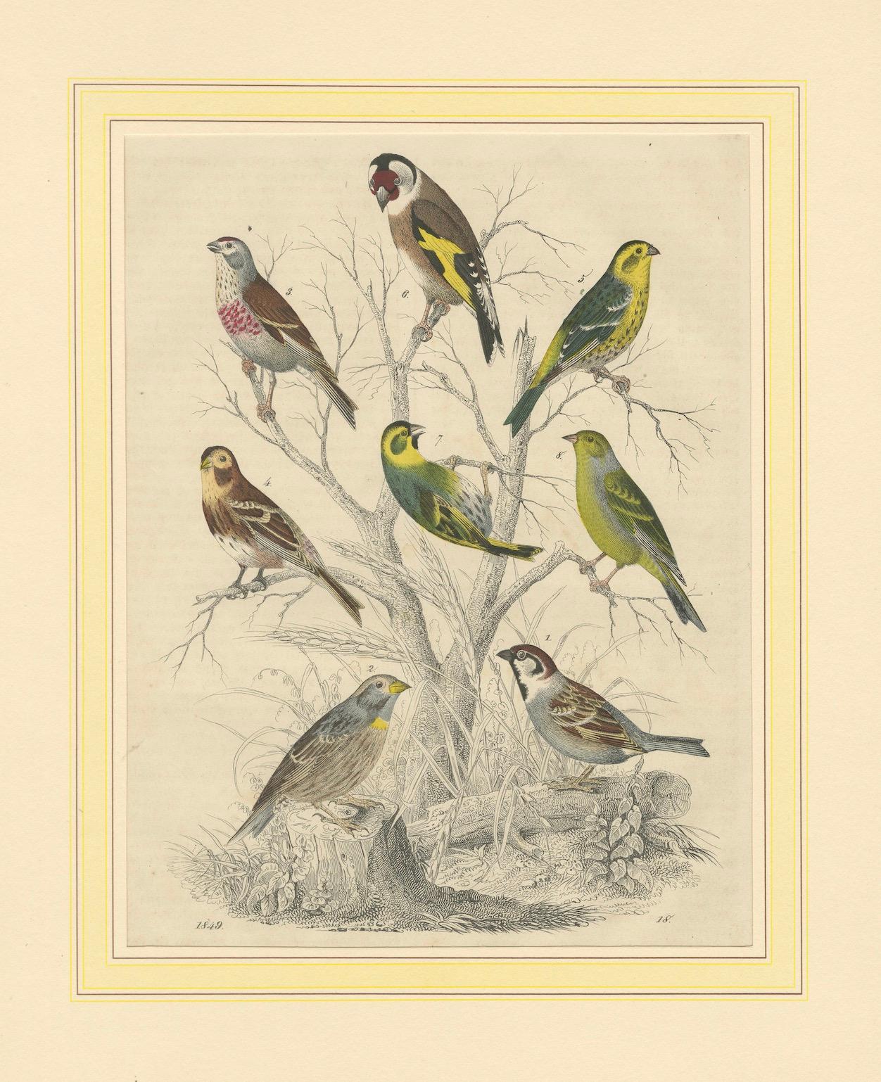 Finches et moissons : une assemblée aérienne de 1849 - une lithographie collectionnée à la main en vente 3