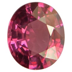 Fine 1.62ct Vivid Pink Purple Rhodolite Garnet Oval Cut Rare Gem