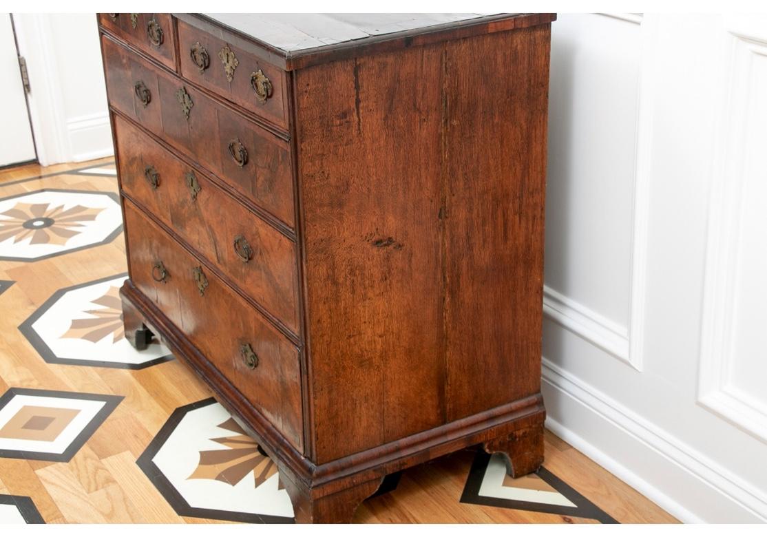 Georgian Fine 18th/19th C. Continental Figured Wood Chest Of Drawers