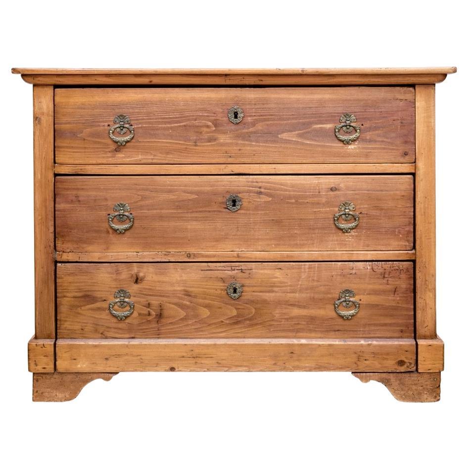 Fine 19th C. European Stripped Pine Cottage Chest For Sale