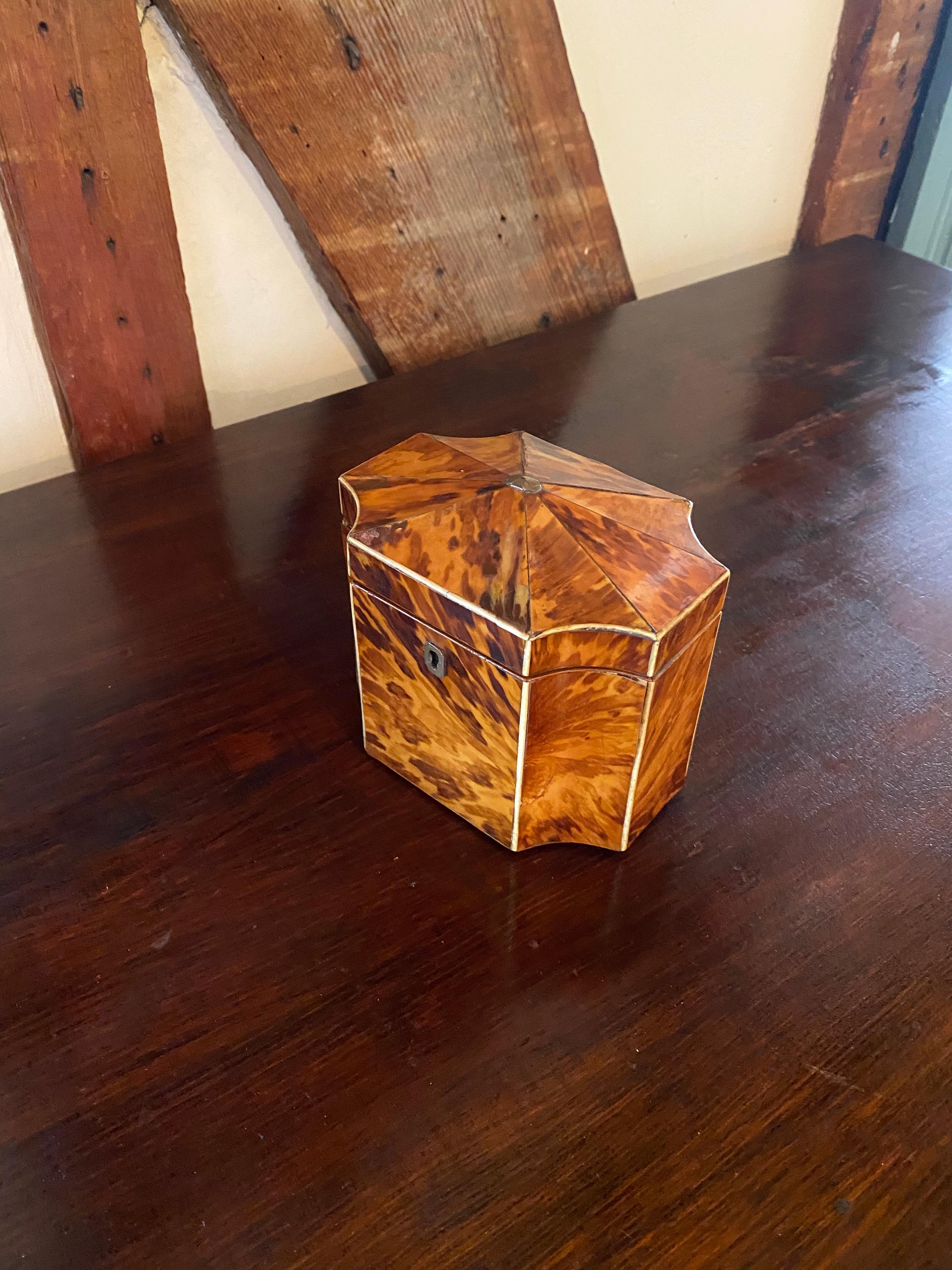 Fine 19th Century English Bone Inlaid and Shaped Tortoise Shell Tea Caddy 7
