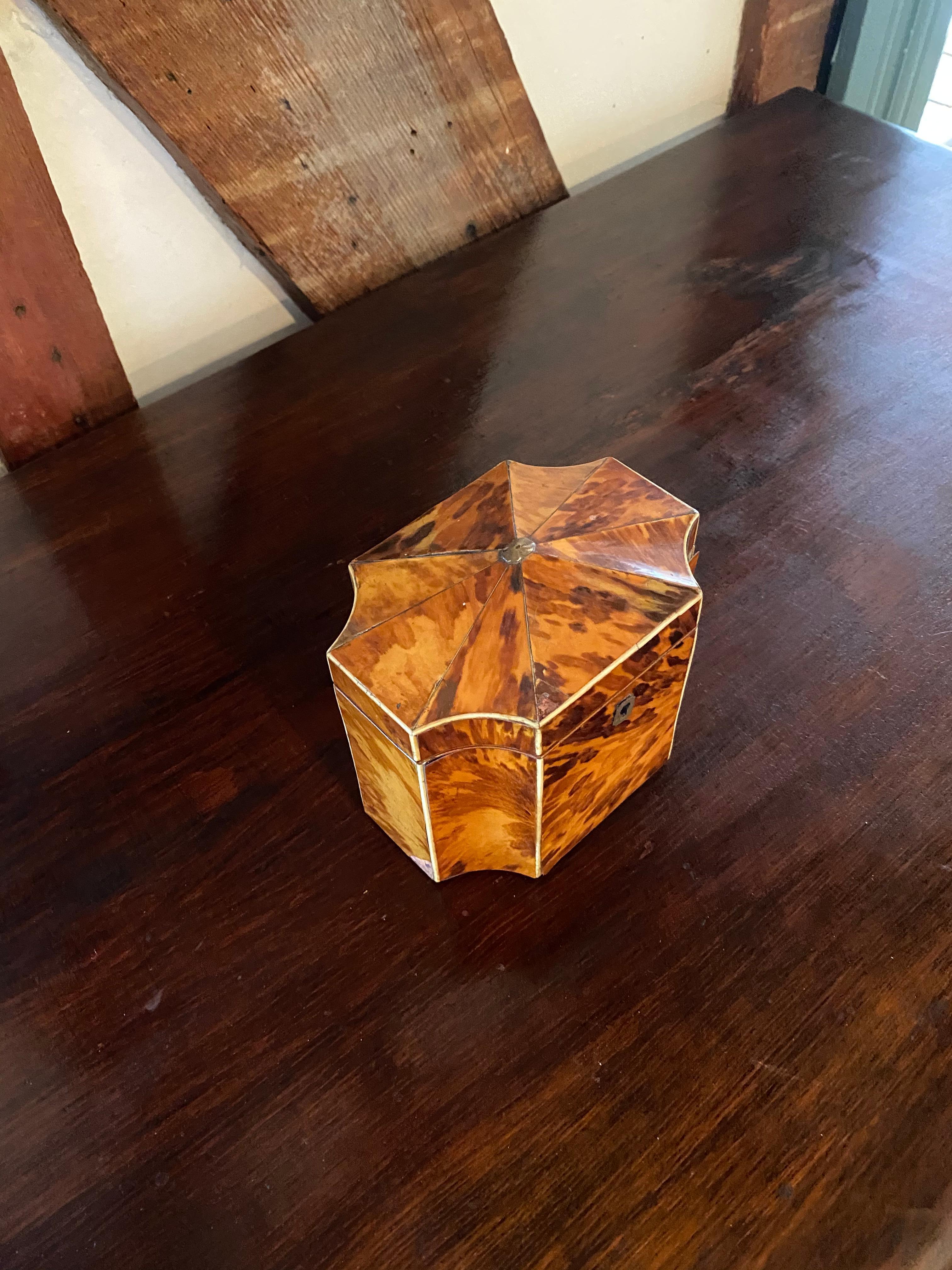 Fine 19th Century English Bone Inlaid and Shaped Tortoise Shell Tea Caddy 8