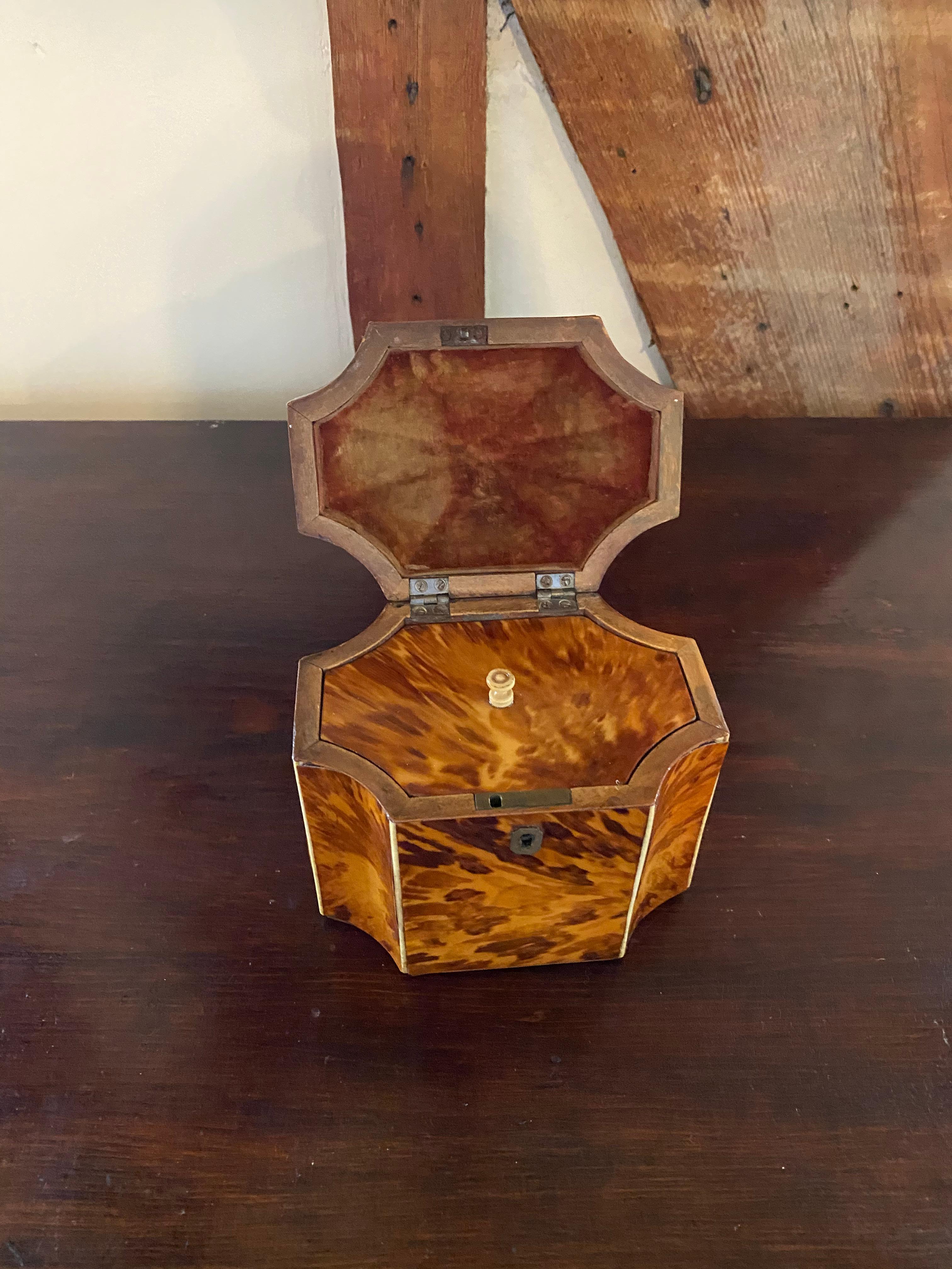 Fine 19th Century English Bone Inlaid and Shaped Tortoise Shell Tea Caddy 9