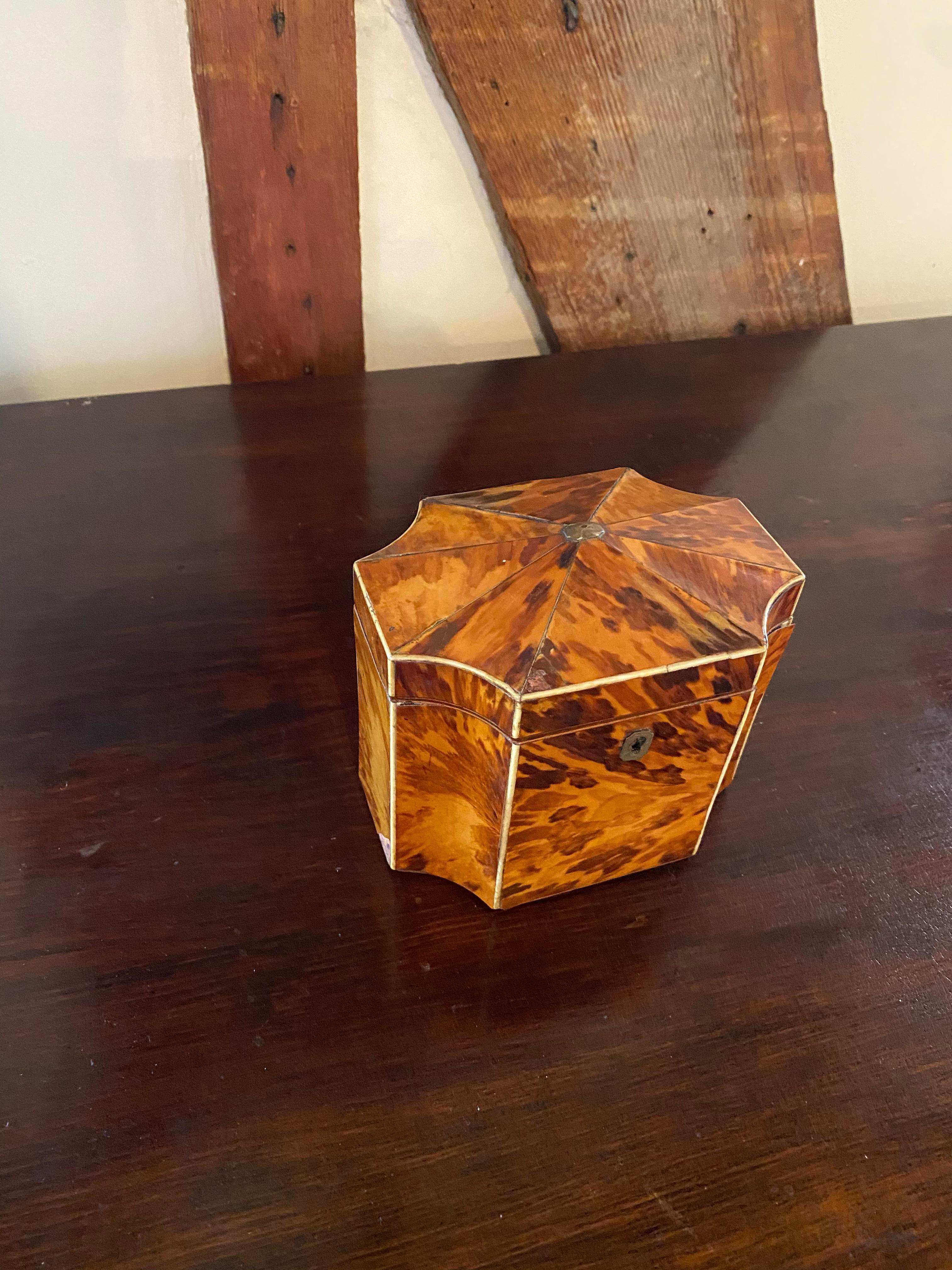 Fine 19th Century English Bone Inlaid and Shaped Tortoise Shell Tea Caddy 10