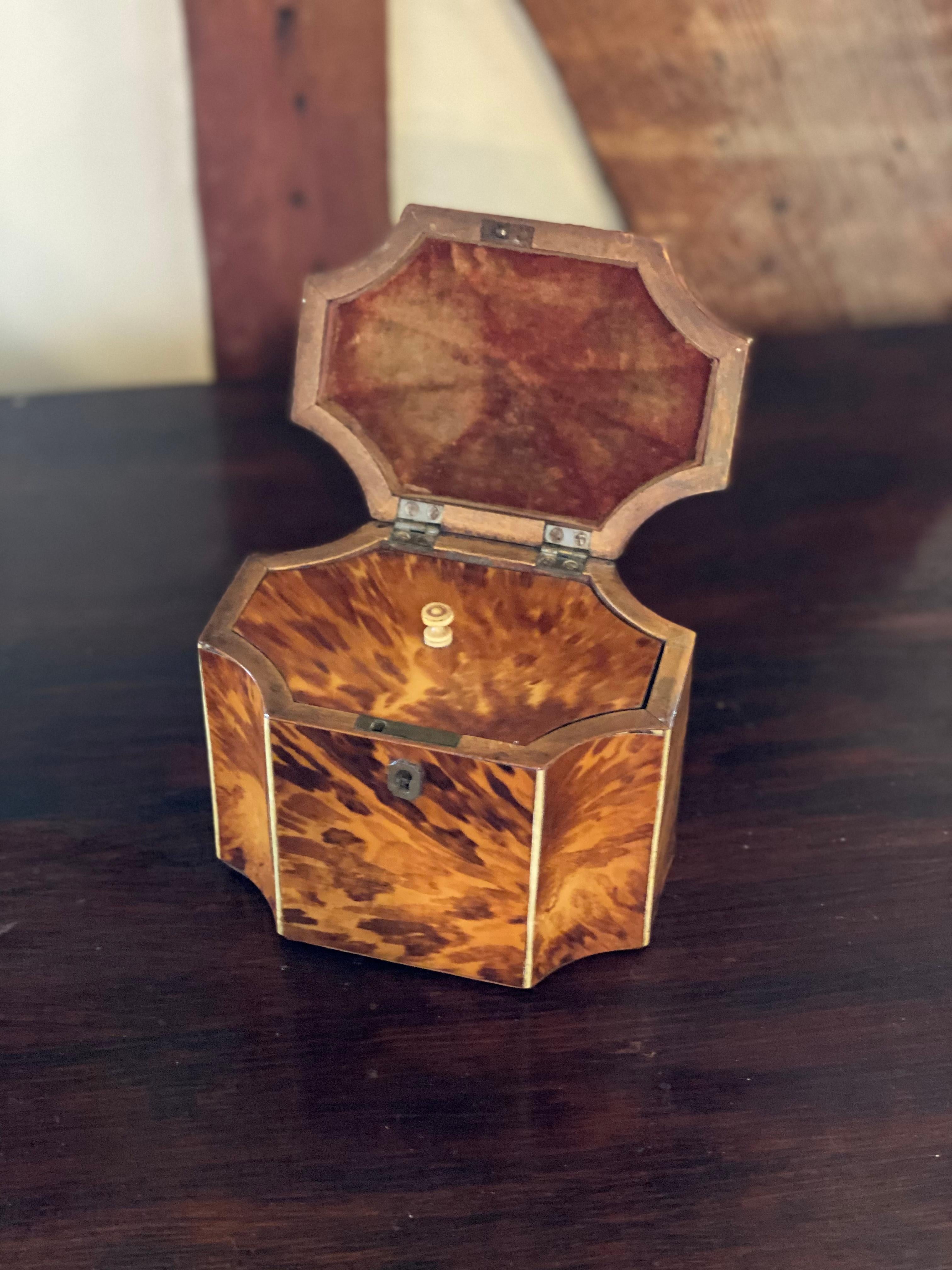 Fine 19th Century English Bone Inlaid and Shaped Tortoise Shell Tea Caddy 1