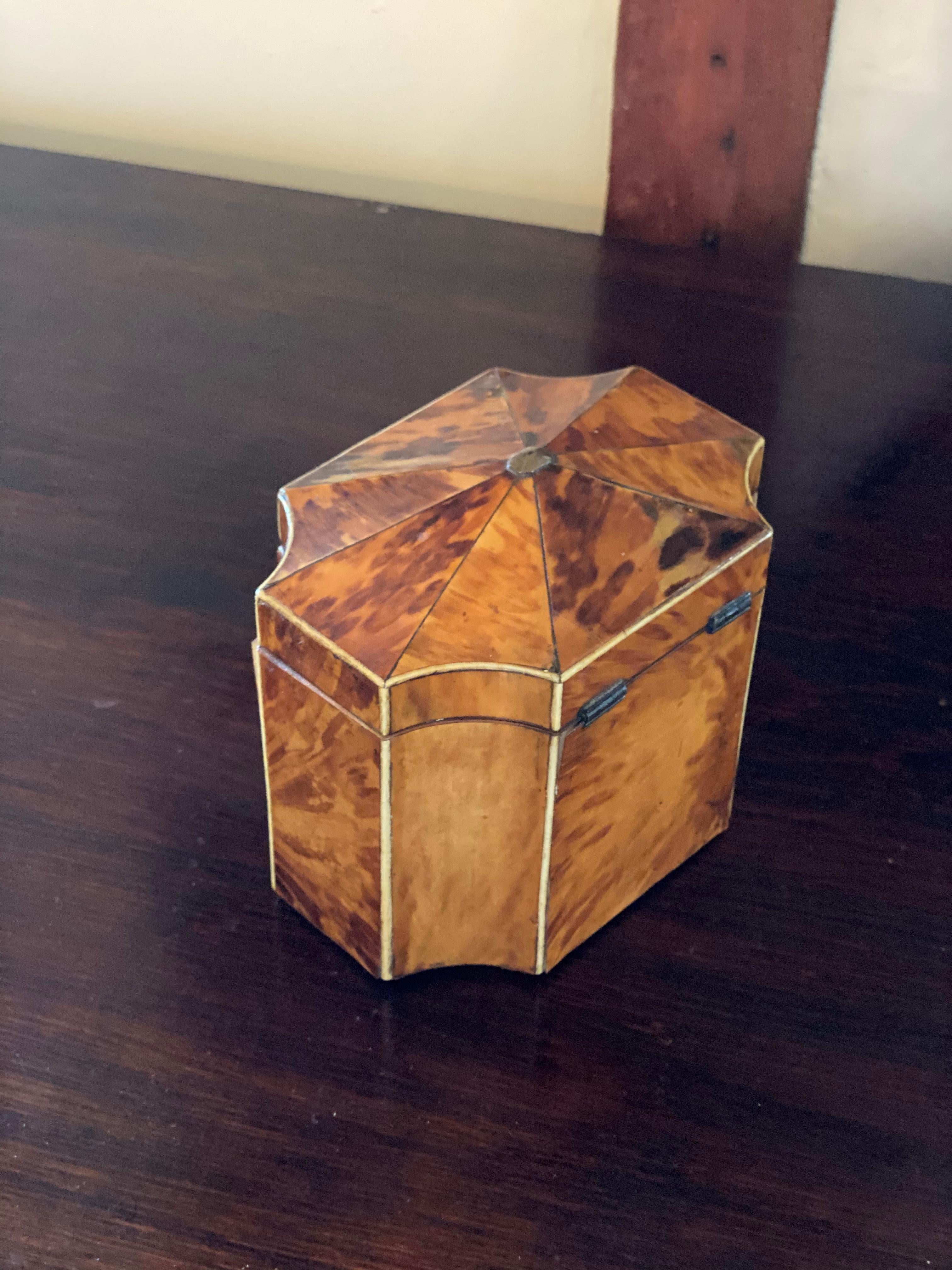 Fine 19th Century English Bone Inlaid and Shaped Tortoise Shell Tea Caddy 2