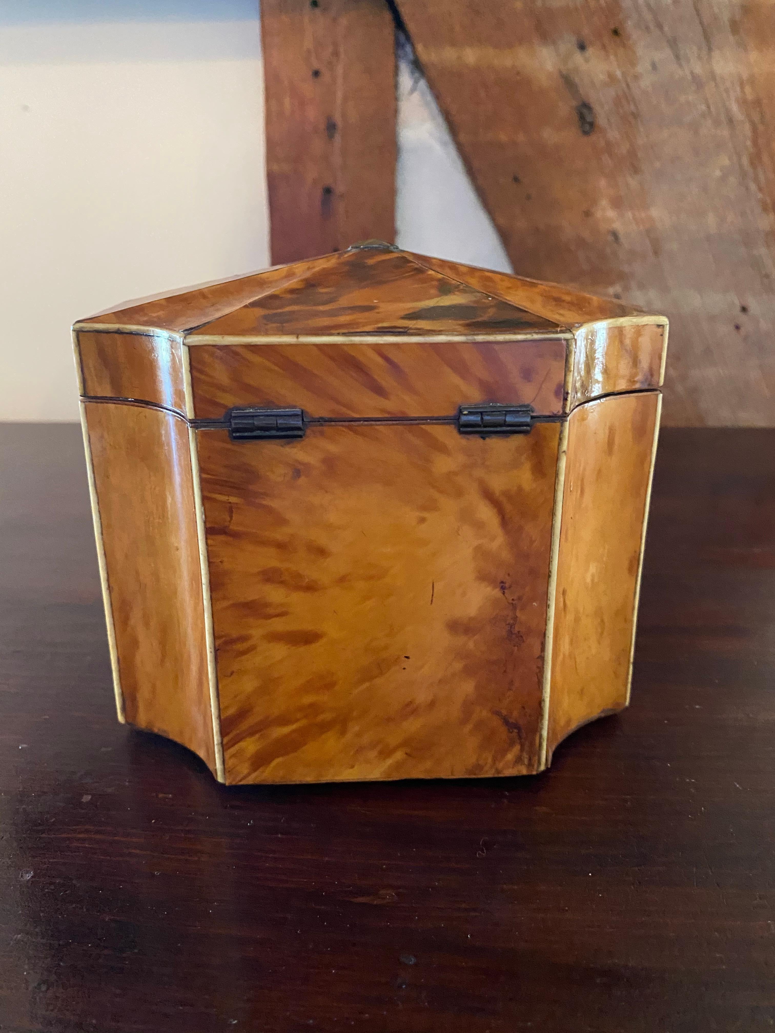 Fine 19th Century English Bone Inlaid and Shaped Tortoise Shell Tea Caddy 3