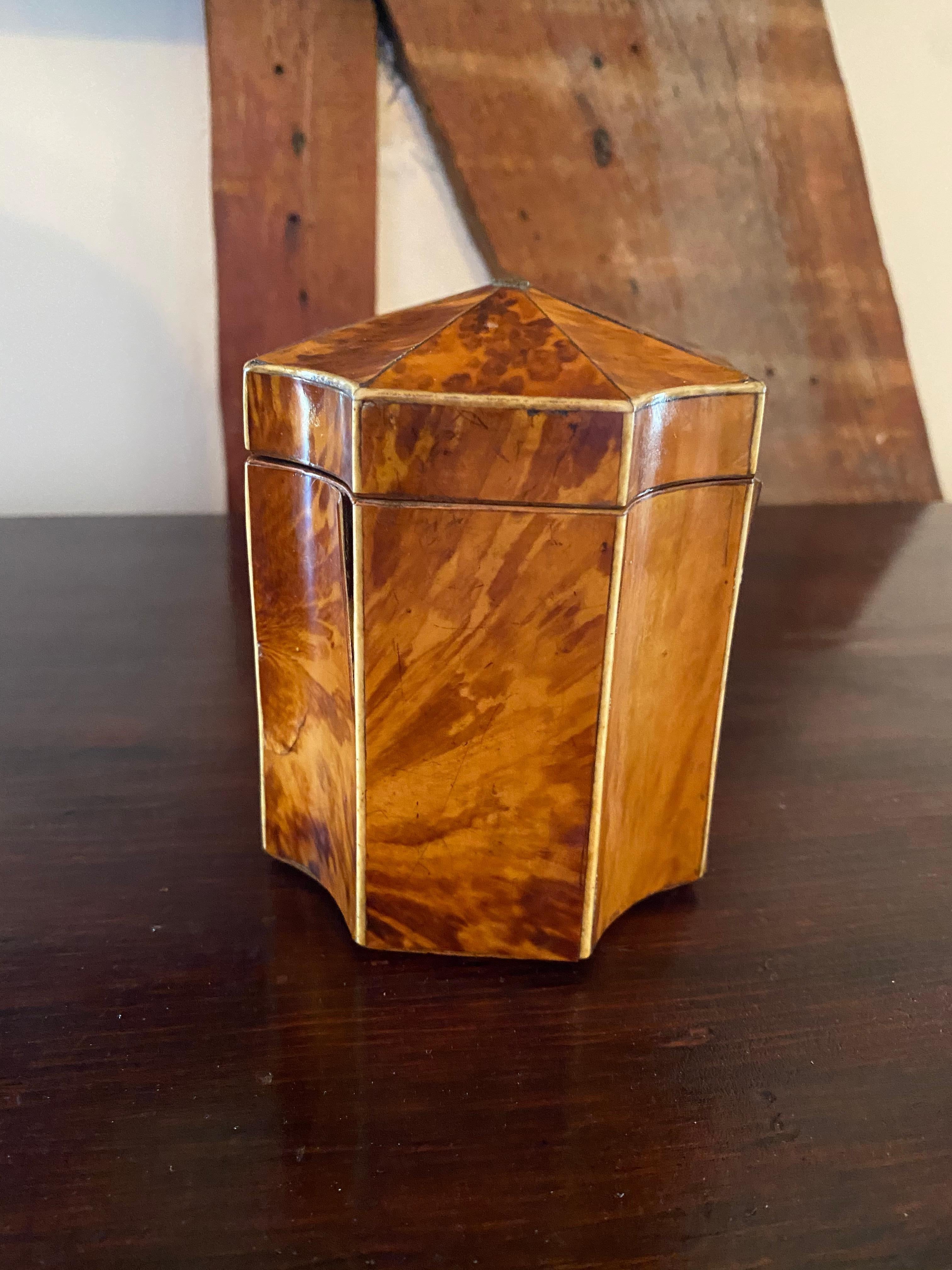 Fine 19th Century English Bone Inlaid and Shaped Tortoise Shell Tea Caddy 4