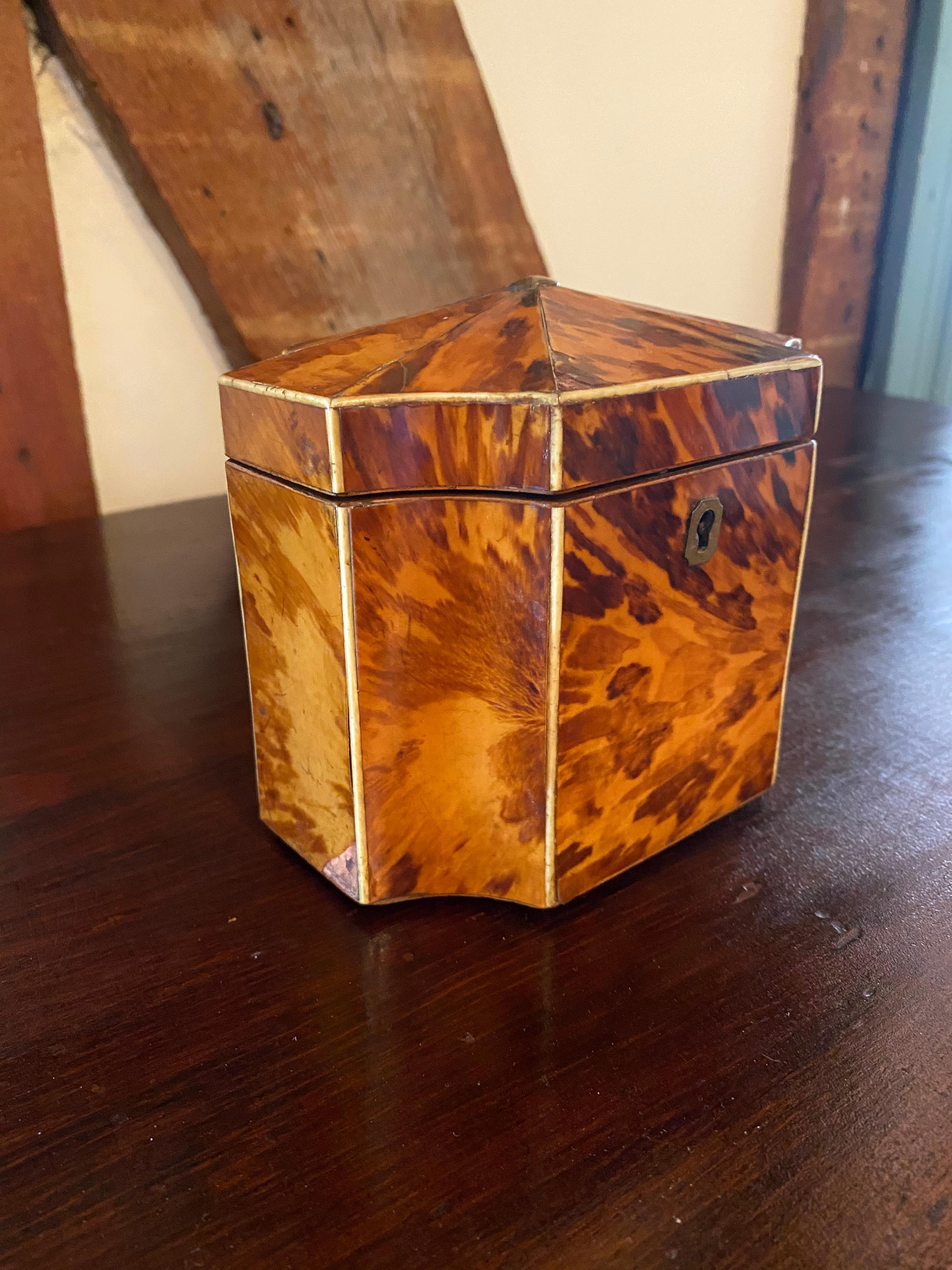 Fine 19th Century English Bone Inlaid and Shaped Tortoise Shell Tea Caddy 6
