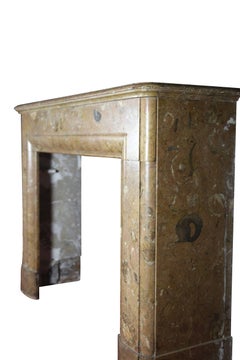 Fine 19th Century European Antique Marble Fireplace Surround
