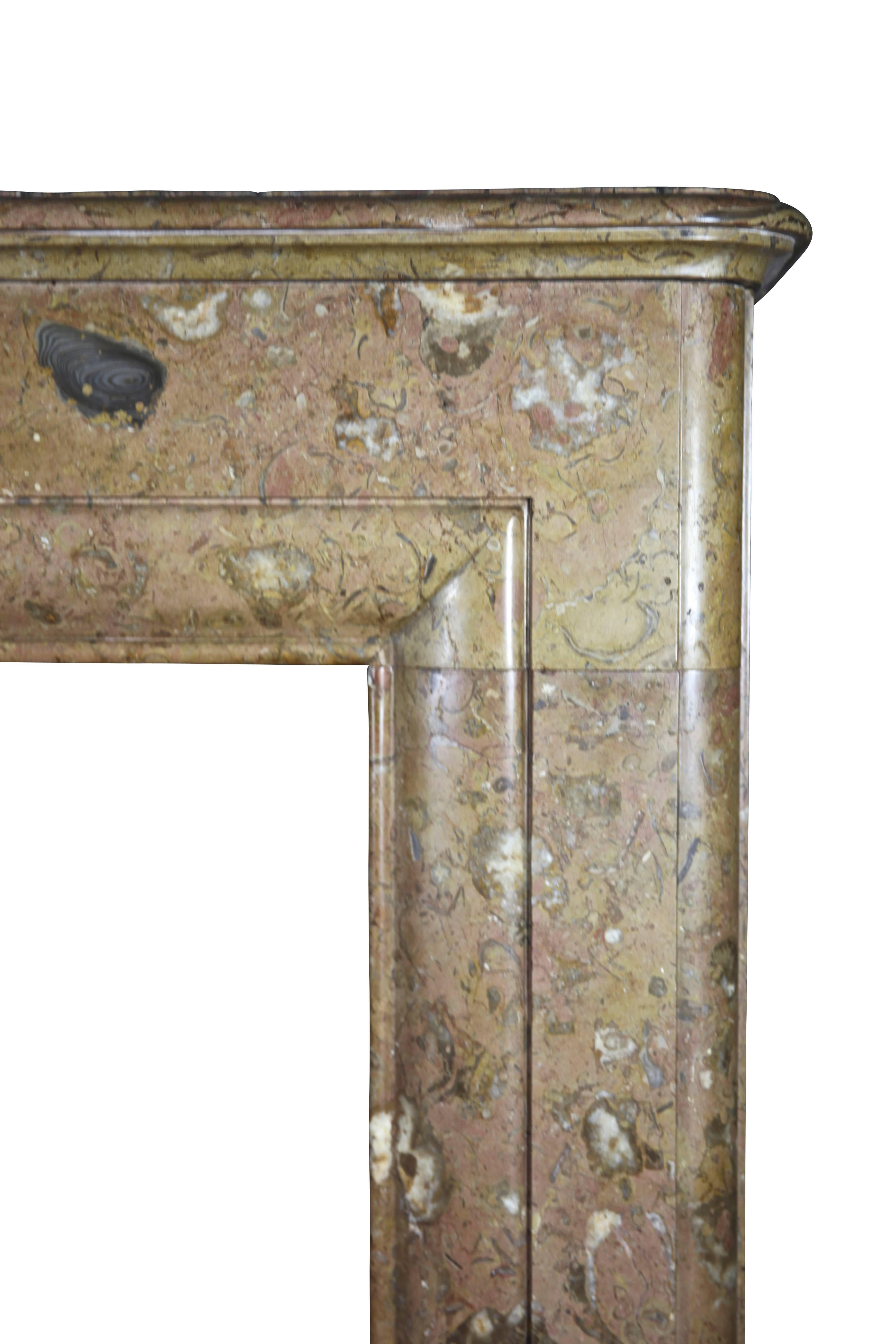 Louis XIV Fine 19th Century European Antique Marble Fireplace Surround For Sale