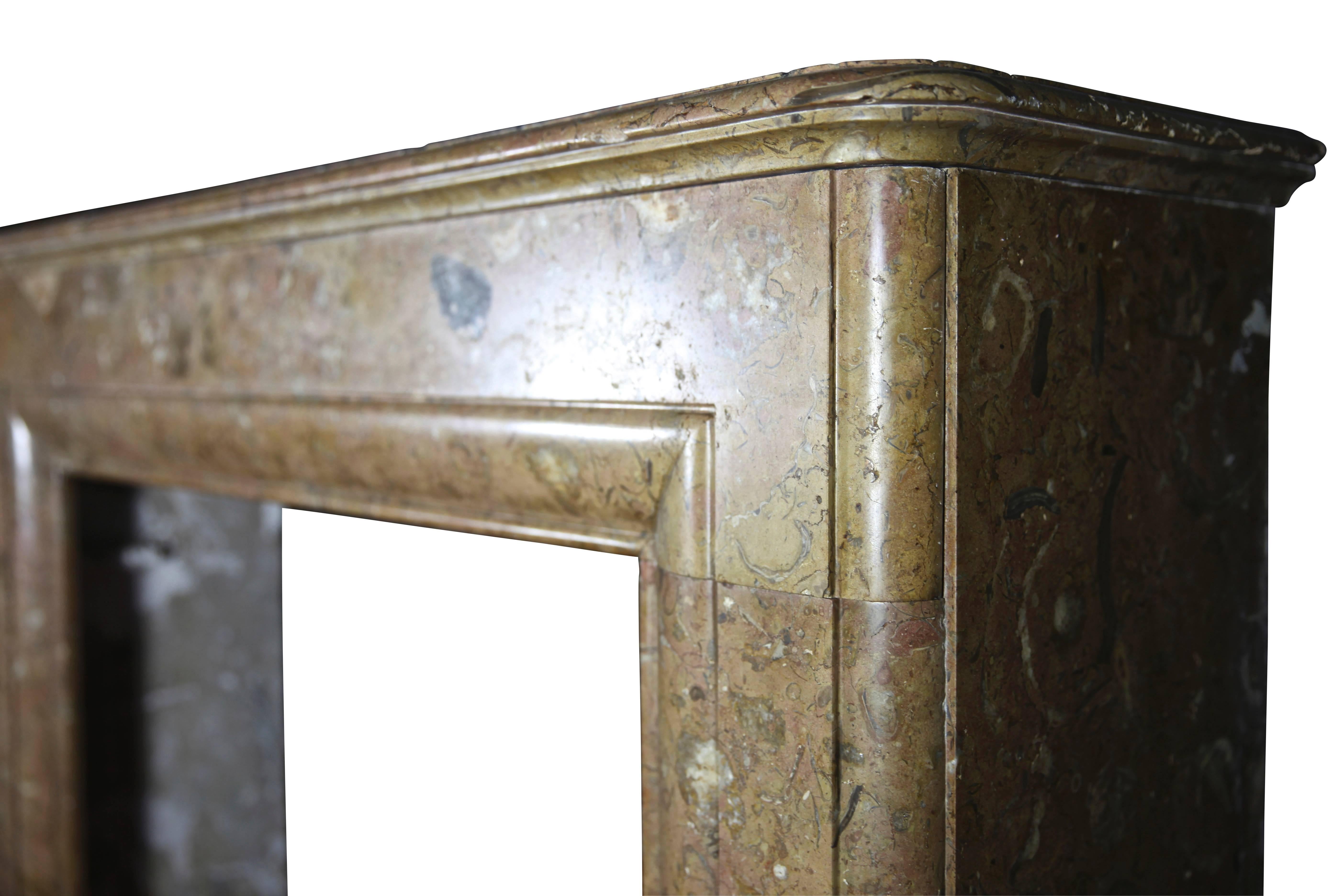 Belgian Fine 19th Century European Antique Marble Fireplace Surround For Sale