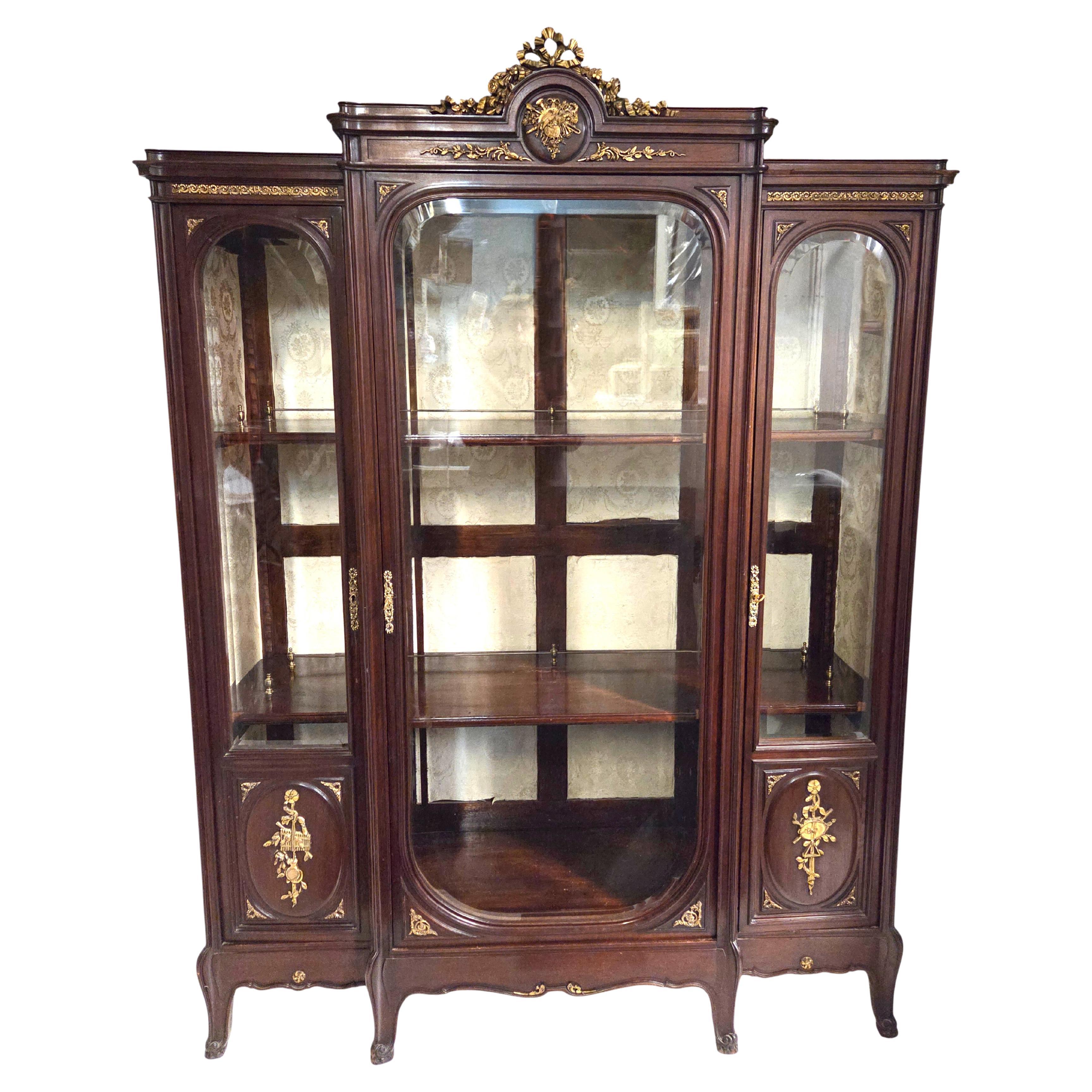 Raffinata vetrinetta francese del XIX secolo montata su bronzo / vitrine Henri Dasson