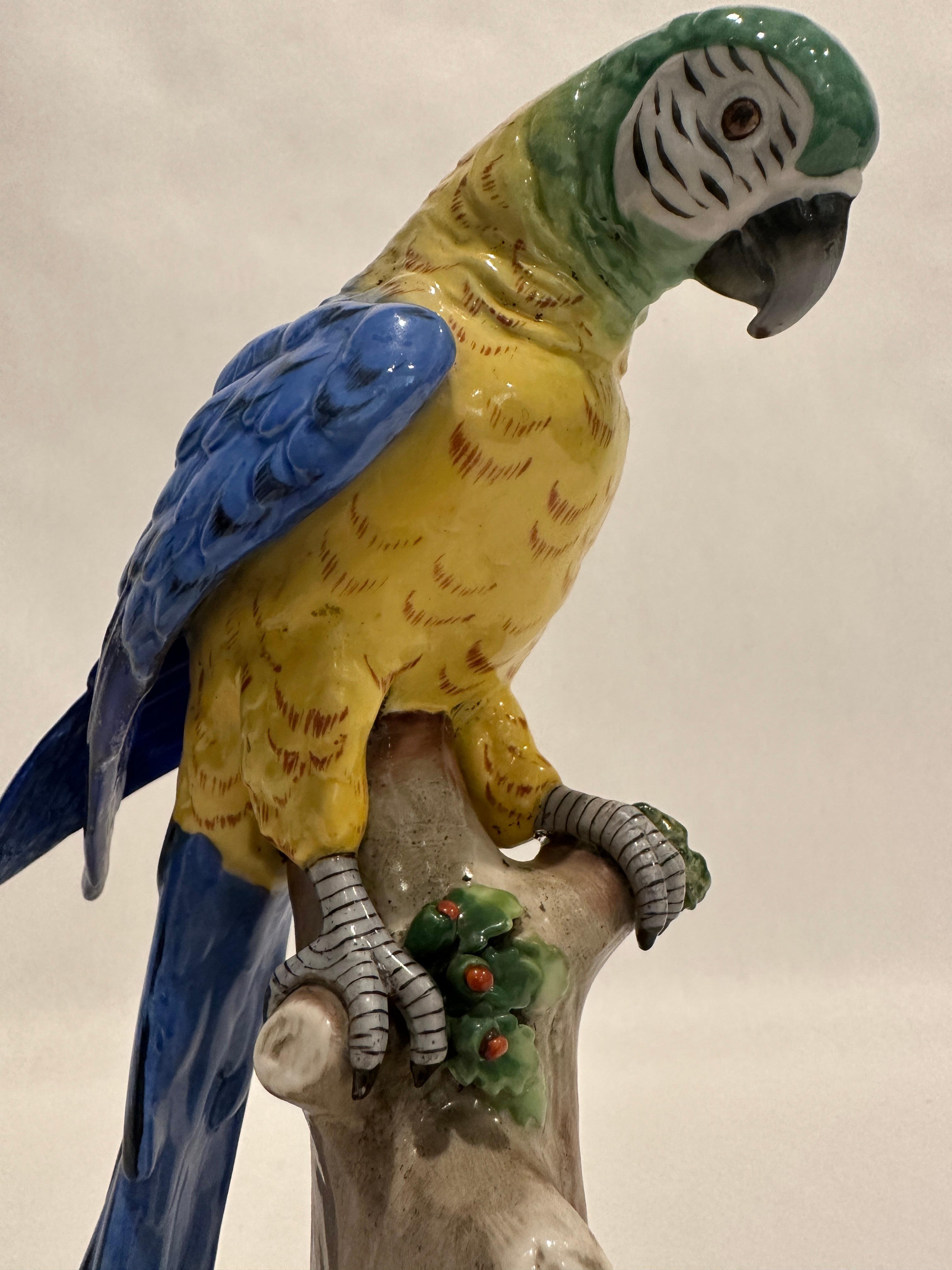Glazed Fine 19th Century Italian Porcelain Parrot For Sale