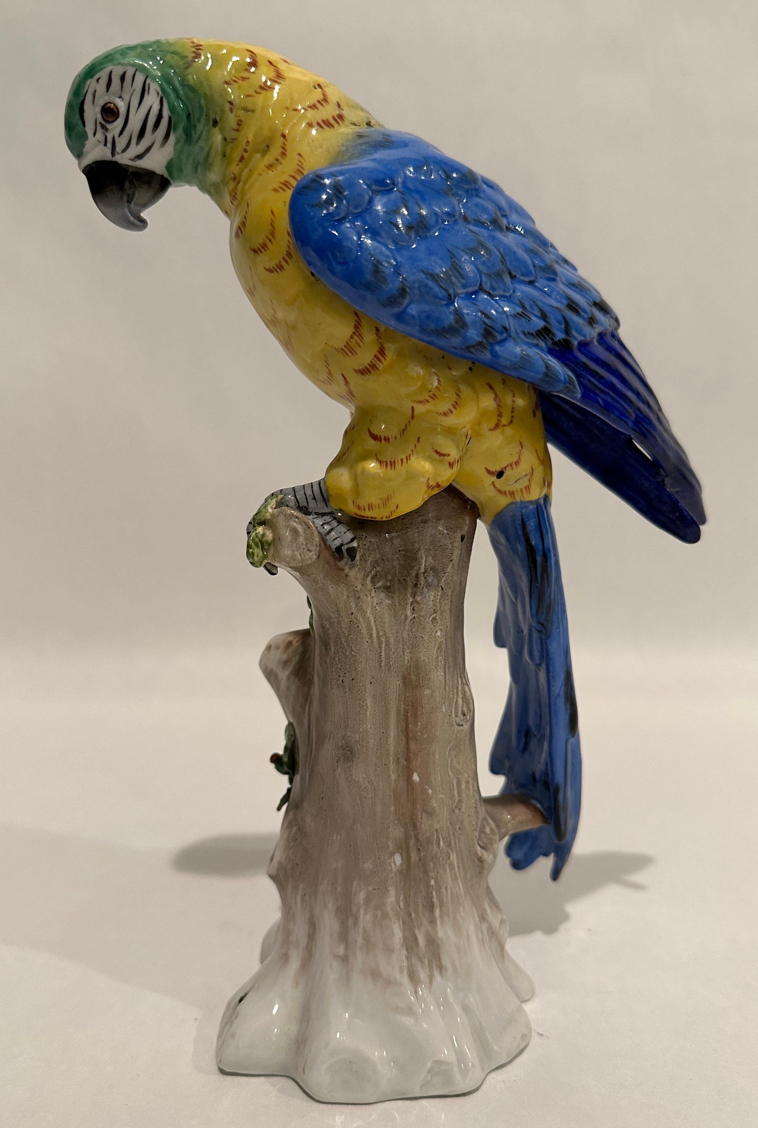 Italienischer Papagei aus Porzellan des 19. Jahrhunderts im Angebot 1