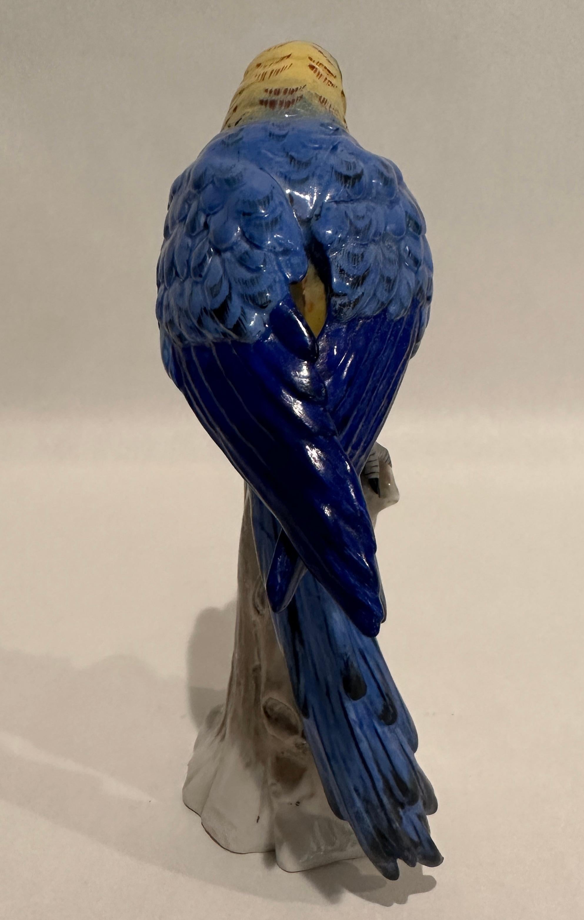 Fine 19th Century Italian Porcelain Parrot For Sale 2