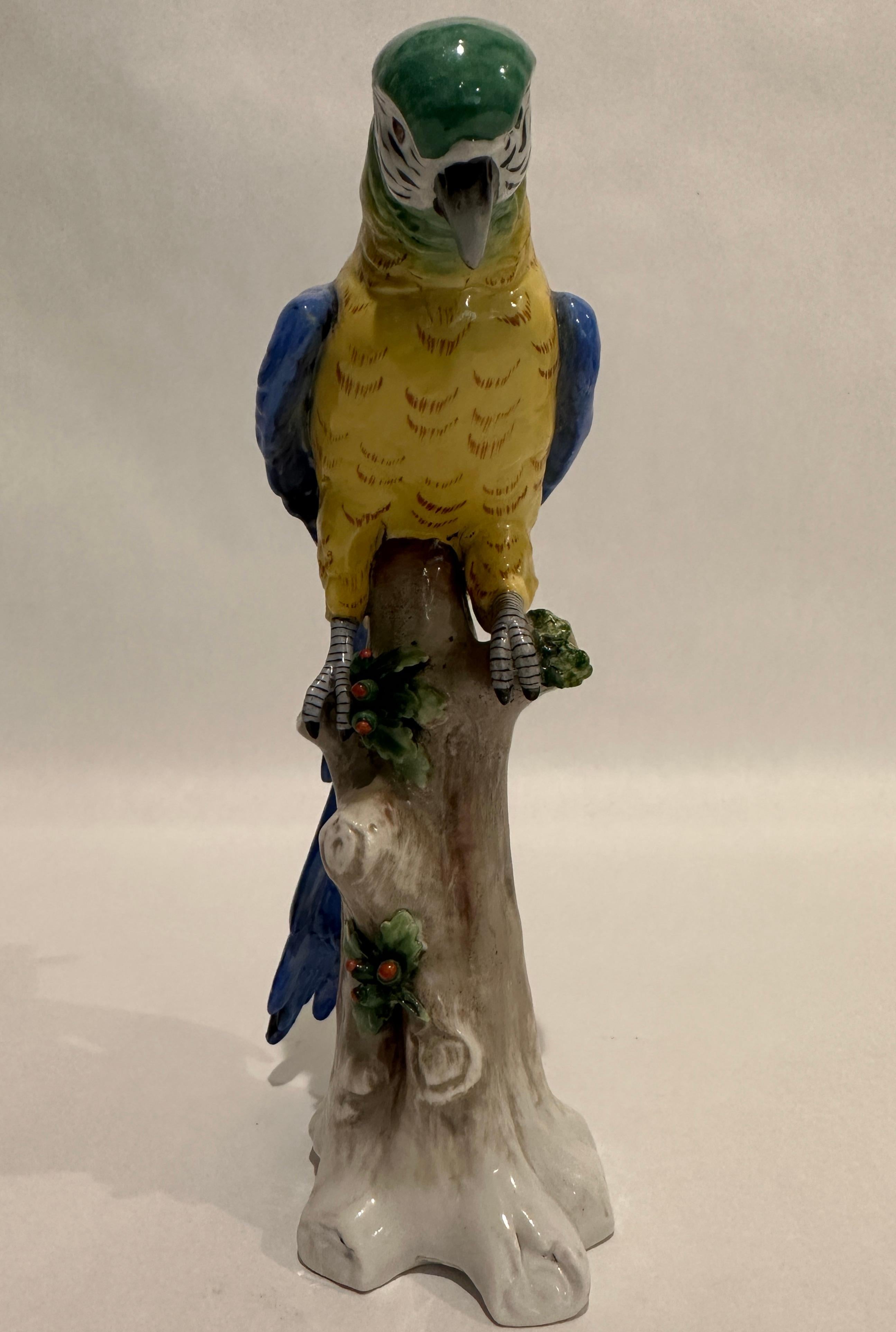 Italienischer Papagei aus Porzellan des 19. Jahrhunderts im Angebot 3