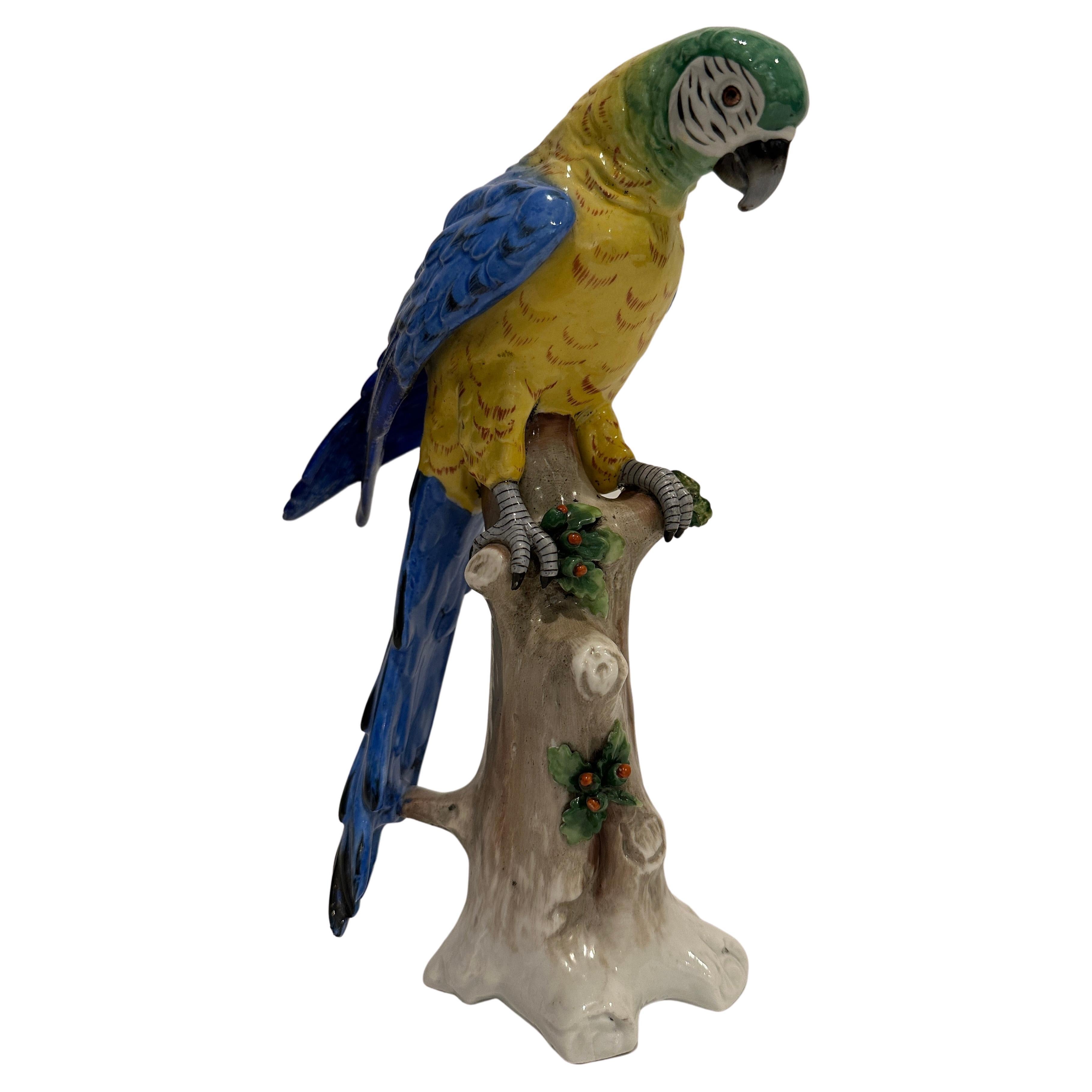 Italienischer Papagei aus Porzellan des 19. Jahrhunderts