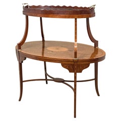 Table à deux niveaux en acajou et bois satiné du XIXe siècle