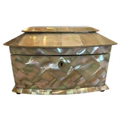 Fine 19th Century Mother of Pearl Tea Caddy