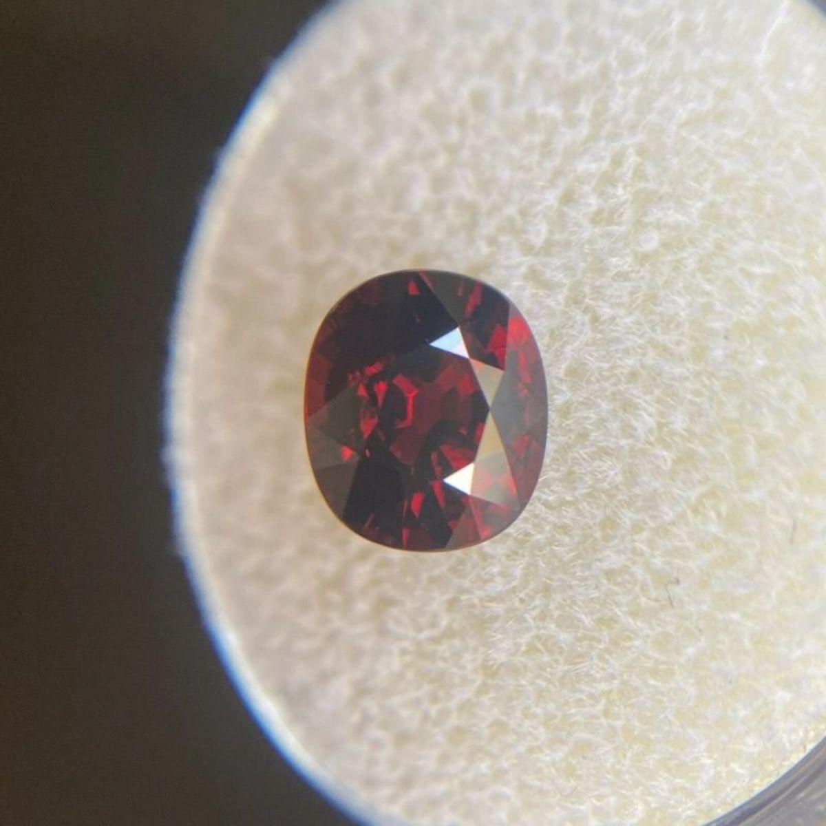 Fine 2.52ct Vivid Orange Red Spessartine Garnet Oval Cut Loose Gem 8.2 x 7mm

Fine Natural Spessartine Garnet Loose Gemstone. 
2.52 Carat with a beautiful vivid reddish orange colour and excellent clarity, very clean stone. Also has an excellent