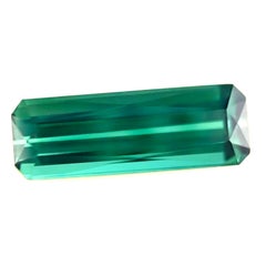 Fine 3.86ct Natural Tourmaline Vivid Green Blue Octagon Cut VVS Gem 15.7x5.6mm