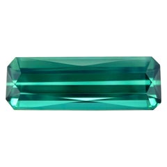 Fine 3.86ct Natural Tourmaline Vivid Green Blue Octagon Cut VVS Gem 15.7x5.6mm