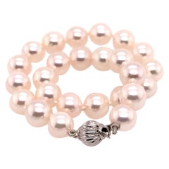 Akoya Pearl Bracelet 14k Gold 7 mm 7.5" Wg Certified