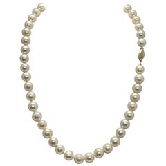 Akoya Pearl Necklace 8.50-8.00 mm 14k Gold 16 in Certified 
