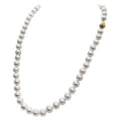 Akoya Pearl Necklace 14k Gold 7.50 mm 18" Certified